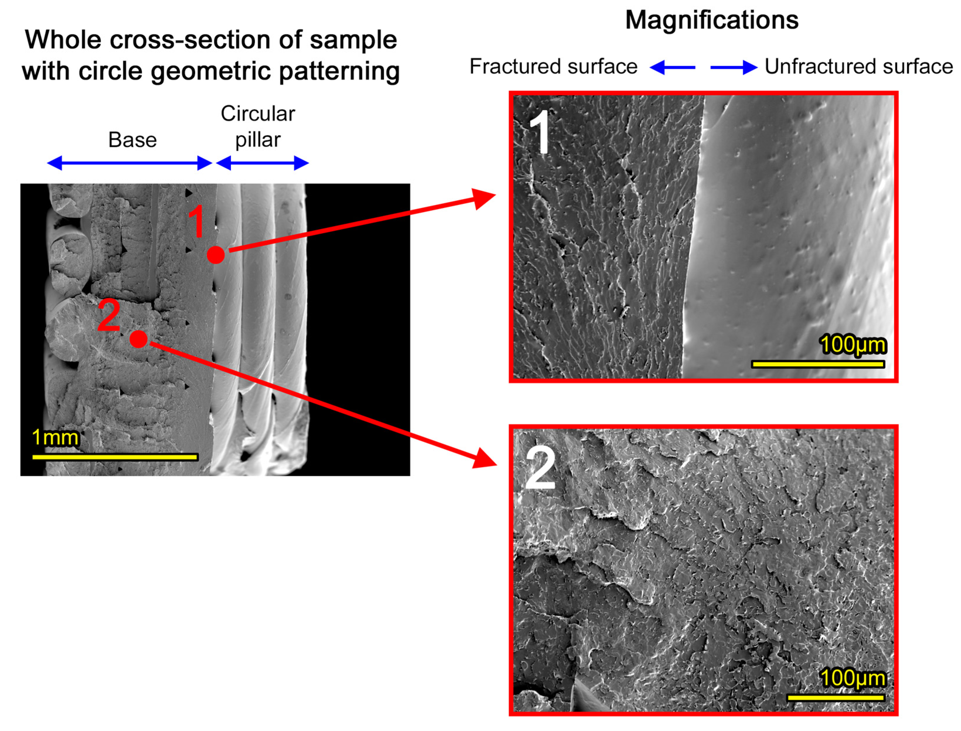 Materials 18 02730 g008