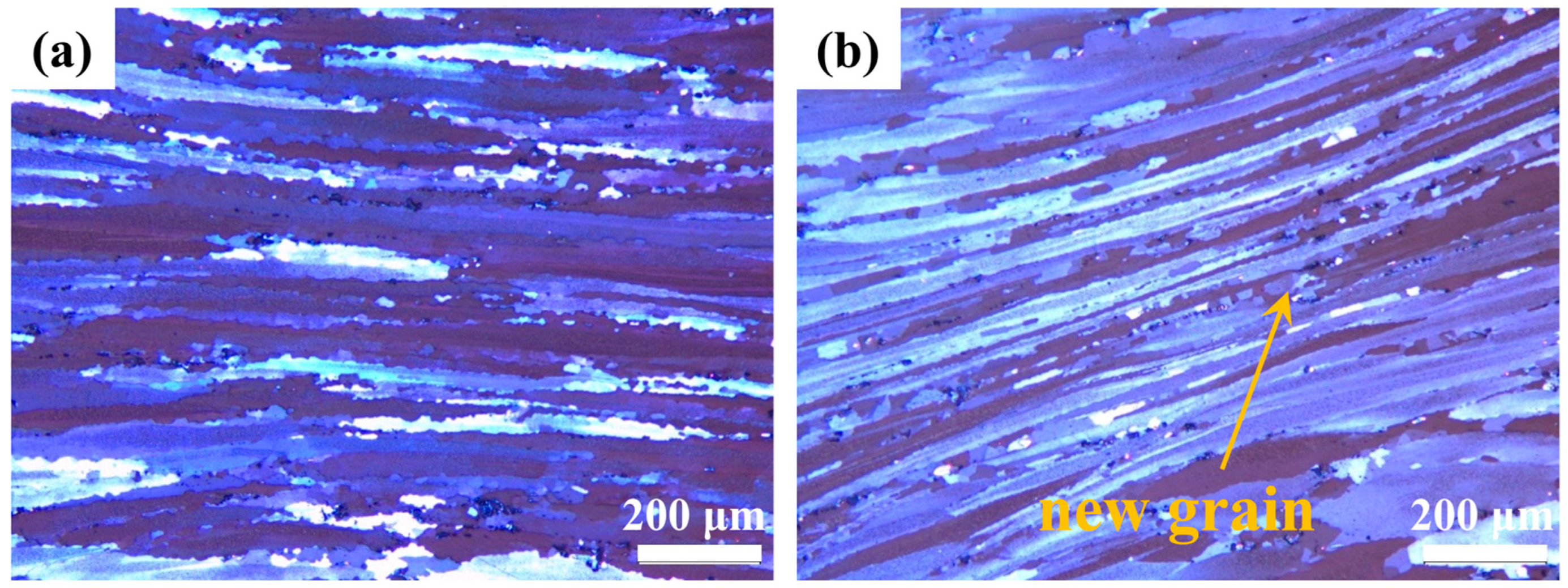 Materials 18 02734 g011