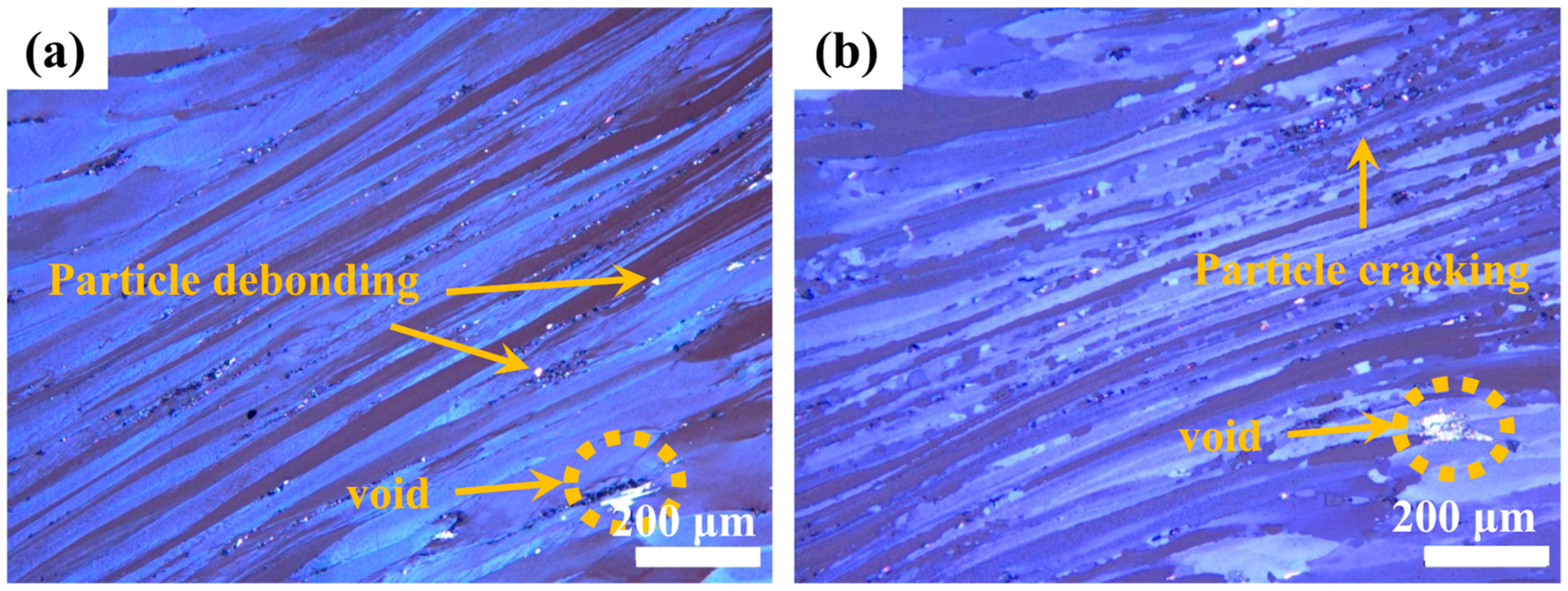 Materials 18 02734 g012