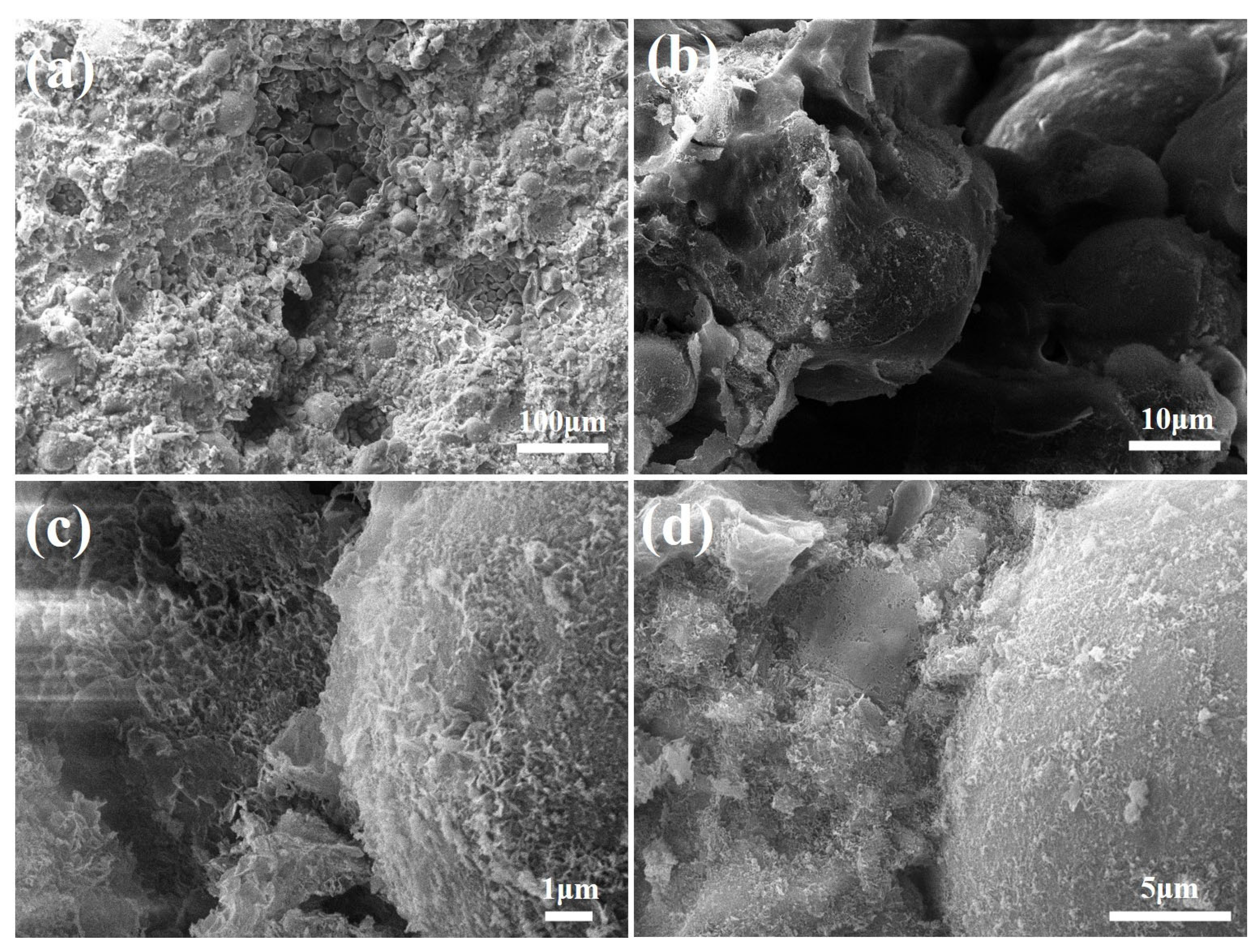 Materials 18 02739 g008