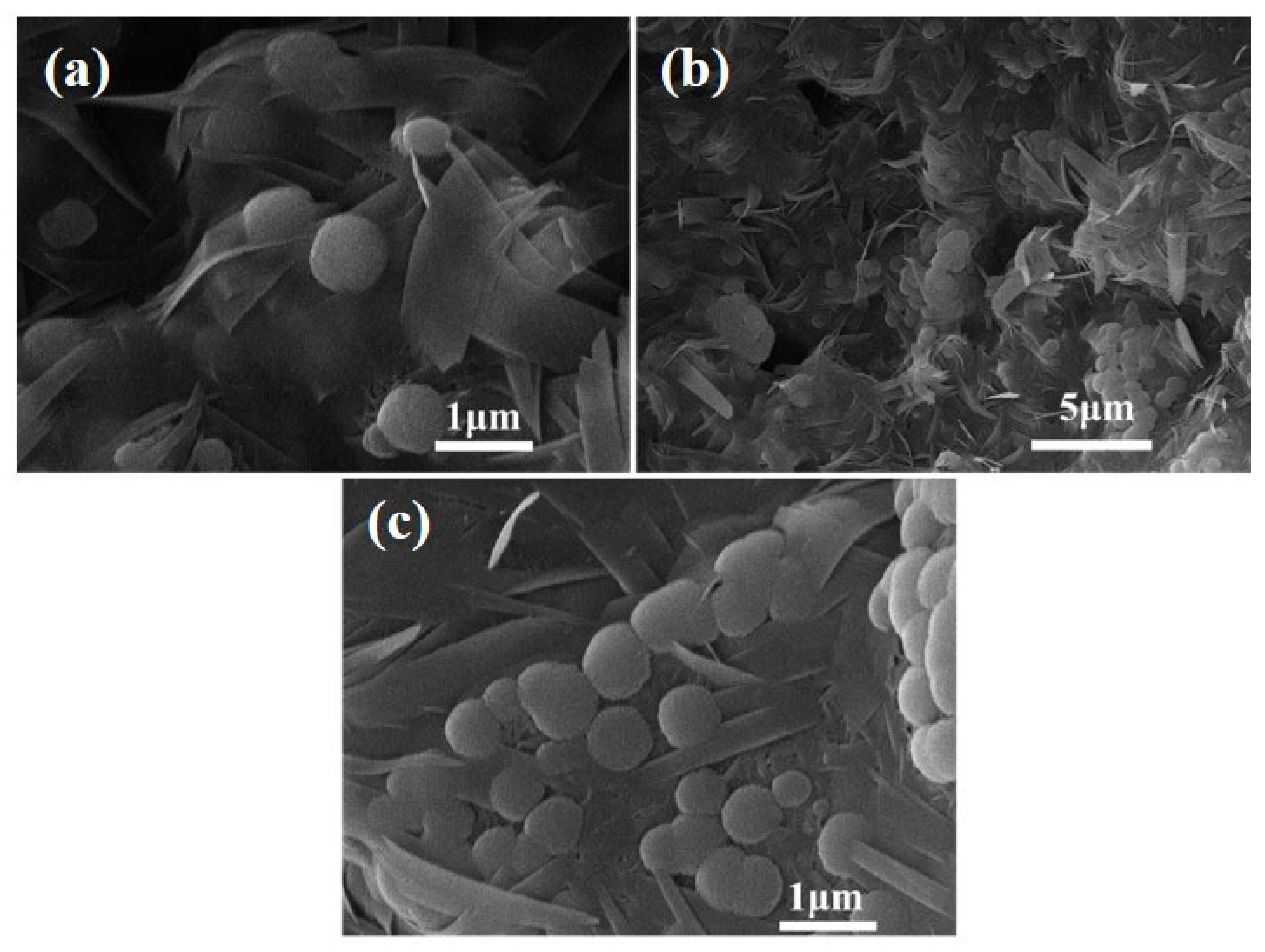 Materials 18 02739 g012