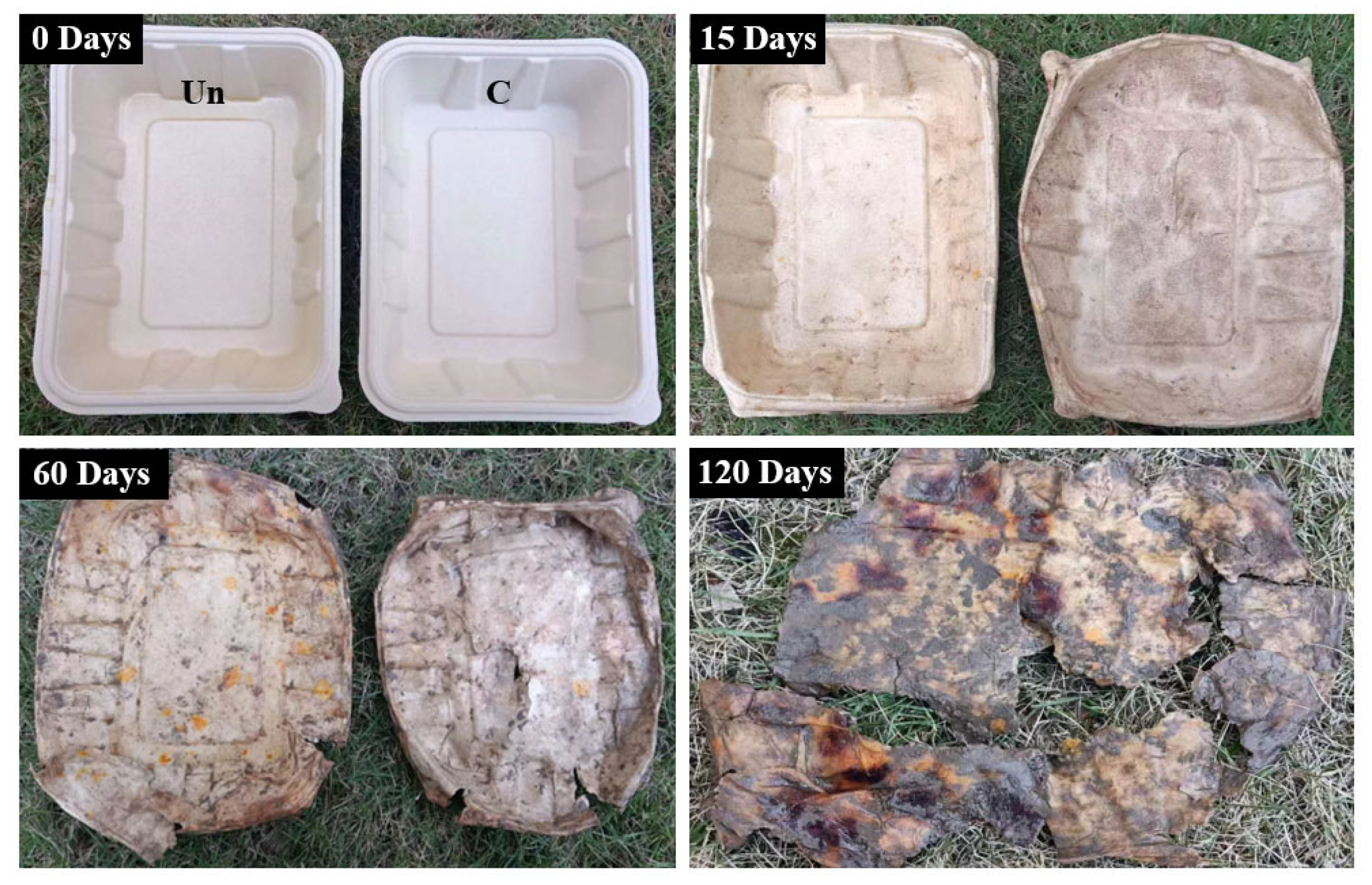 Materials 18 02741 g011