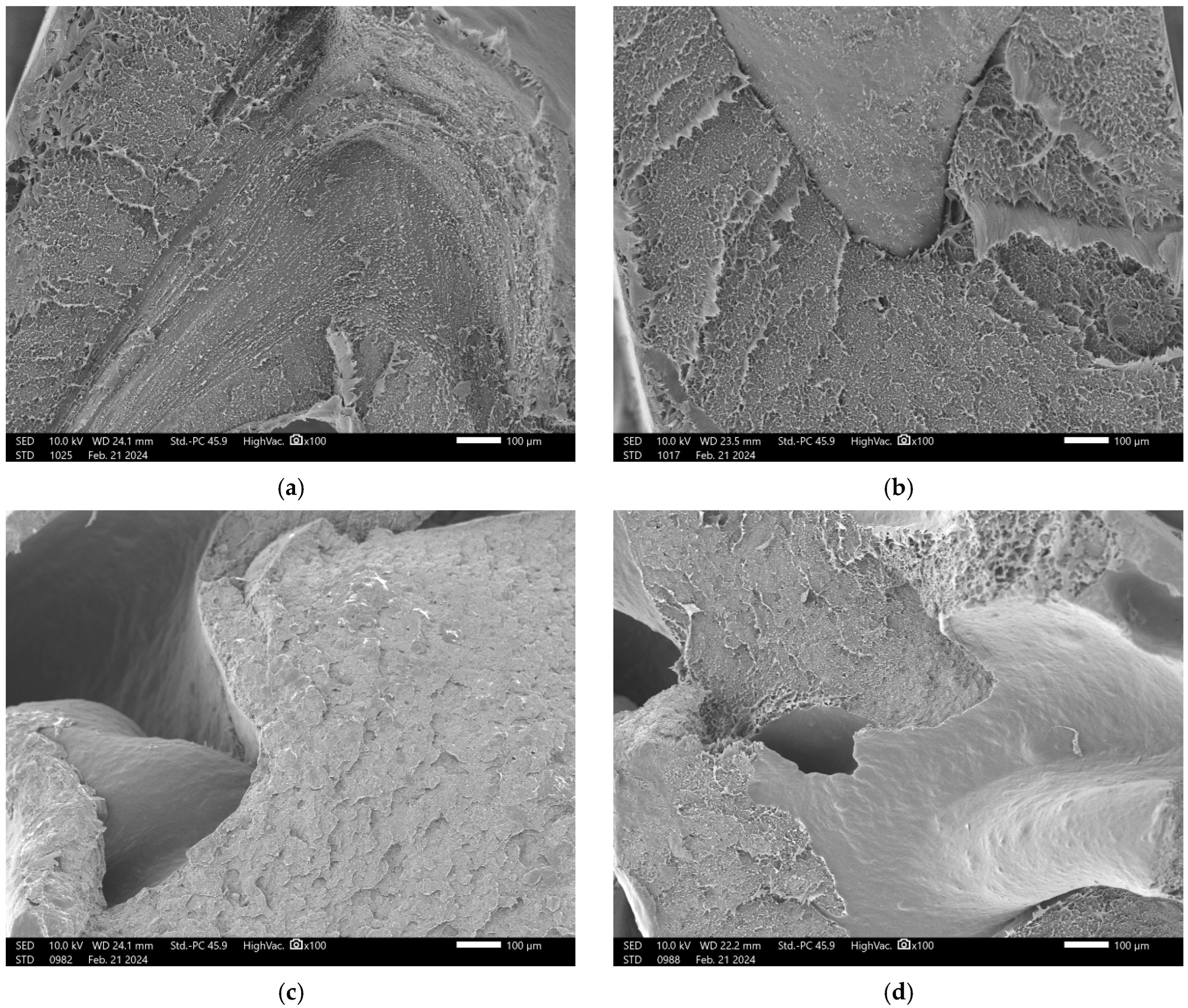 Materials 18 02746 g004