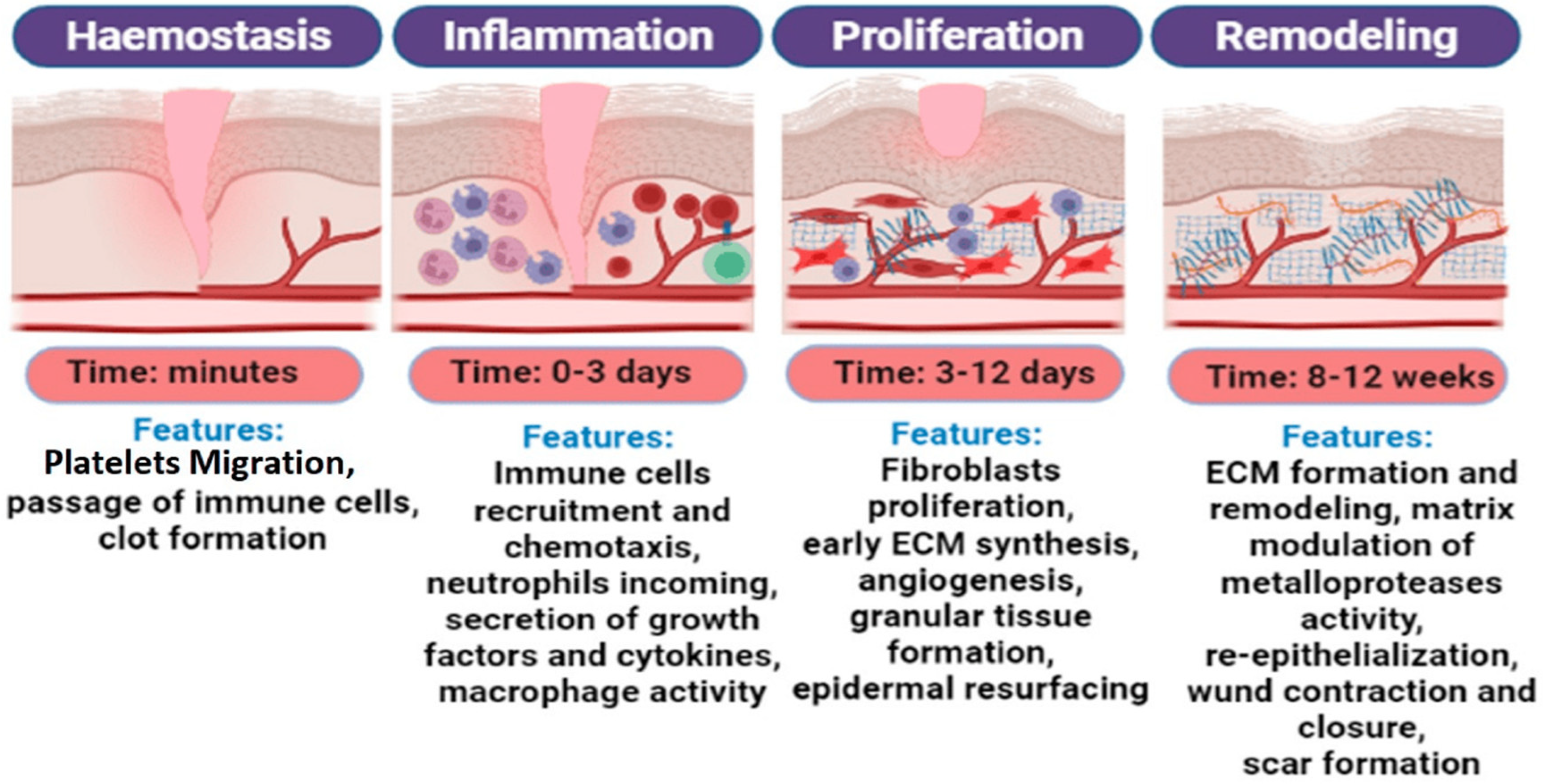 Materials 18 02752 g001