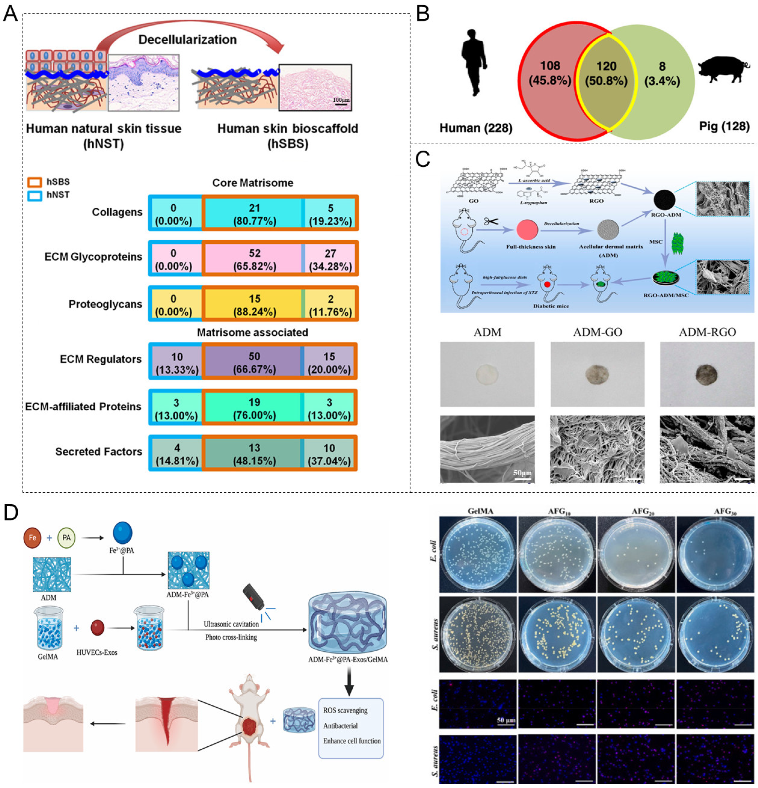 Materials 18 02752 g002