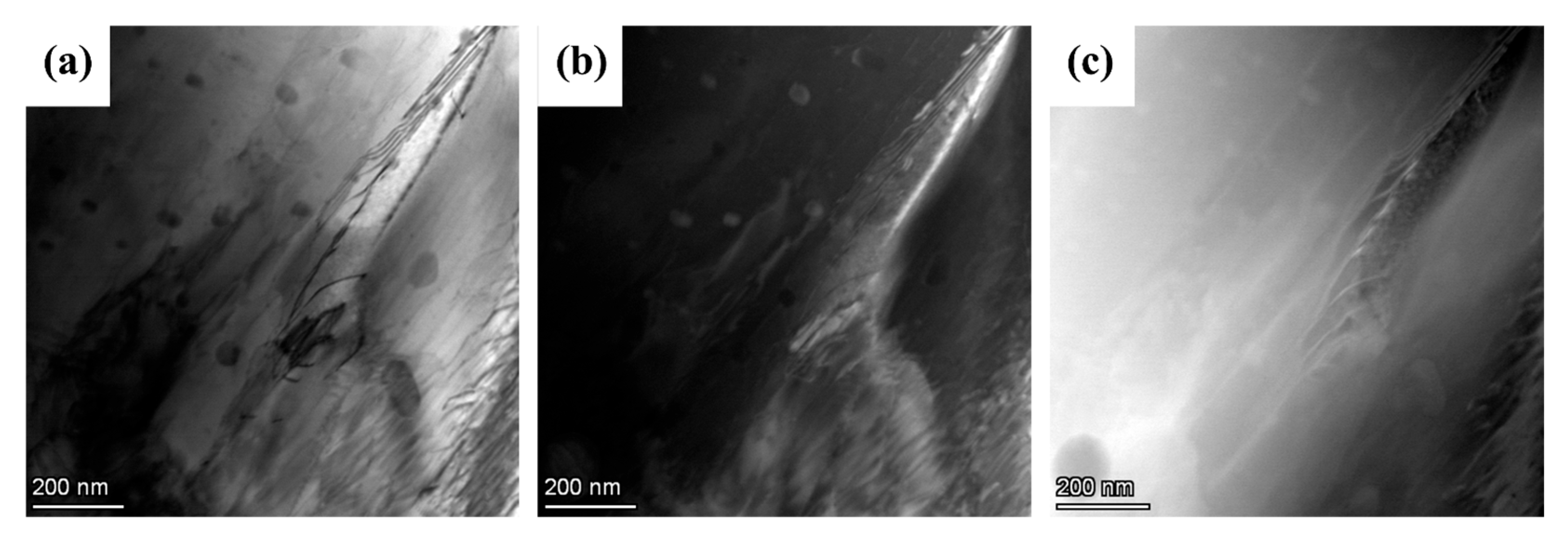 Materials 18 02755 g007