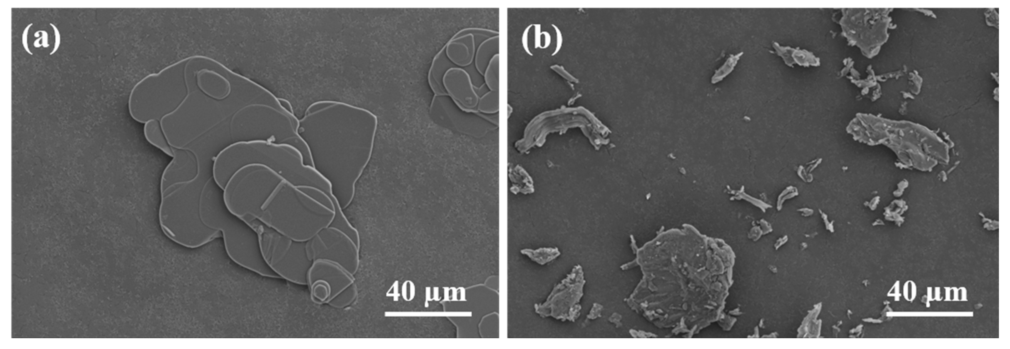 Materials 18 02757 g002