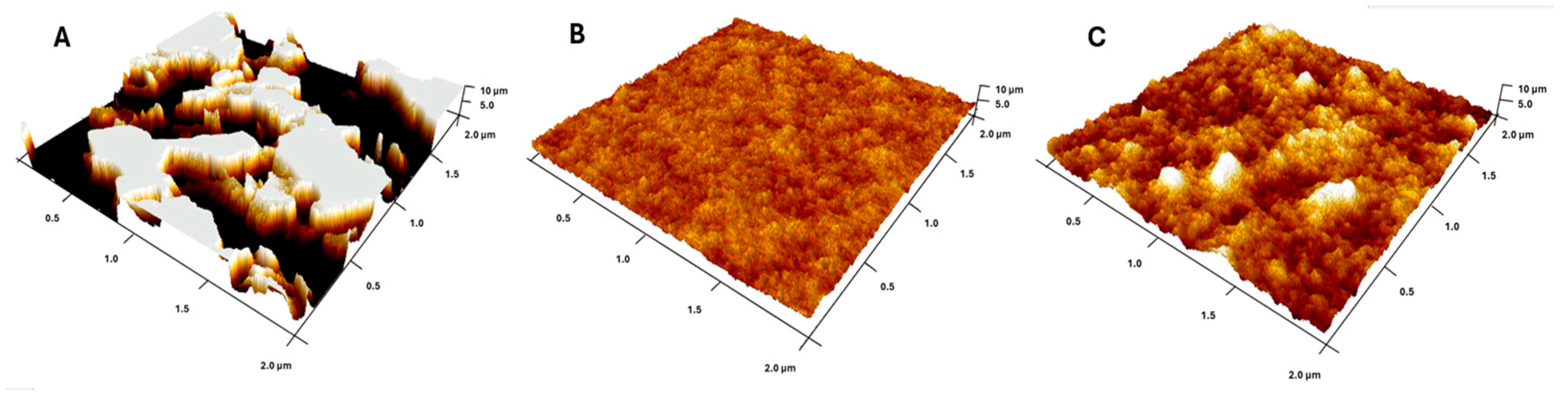 Materials 18 02760 g005