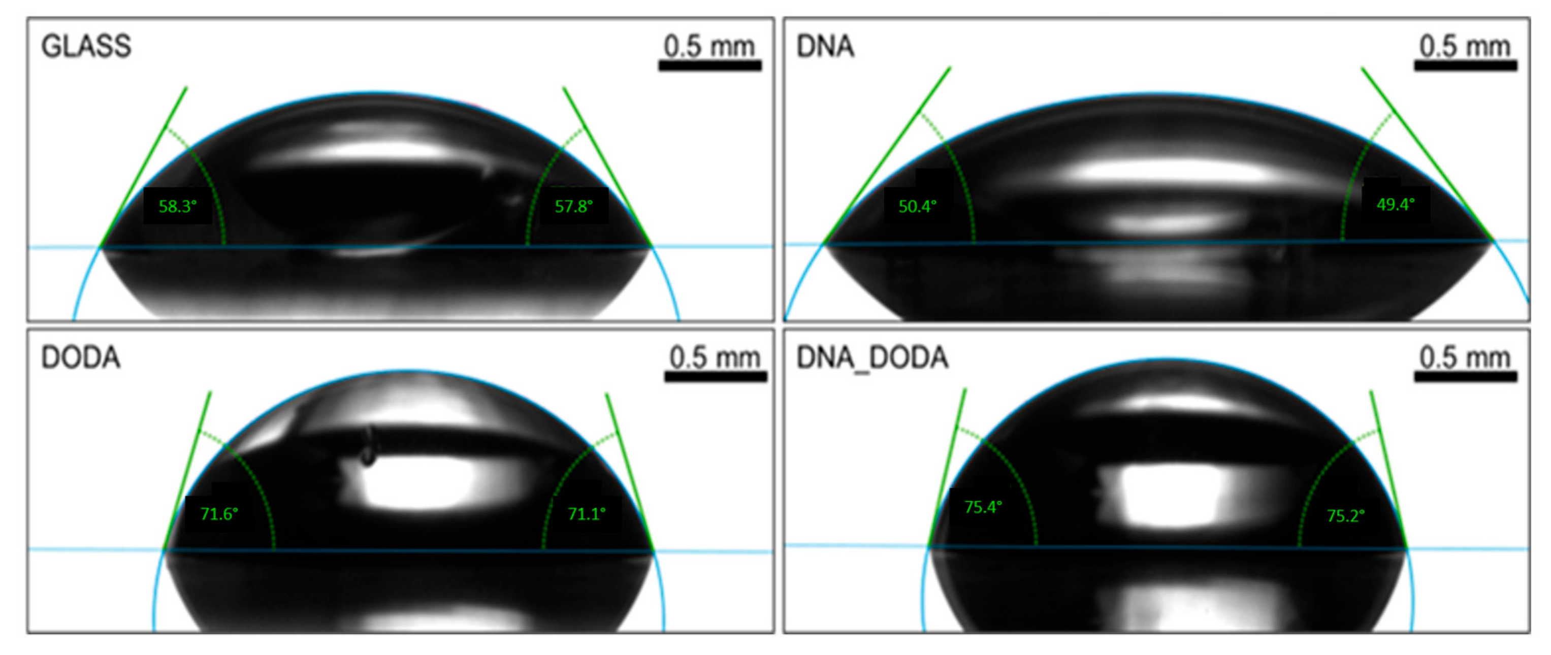 Materials 18 02760 g007