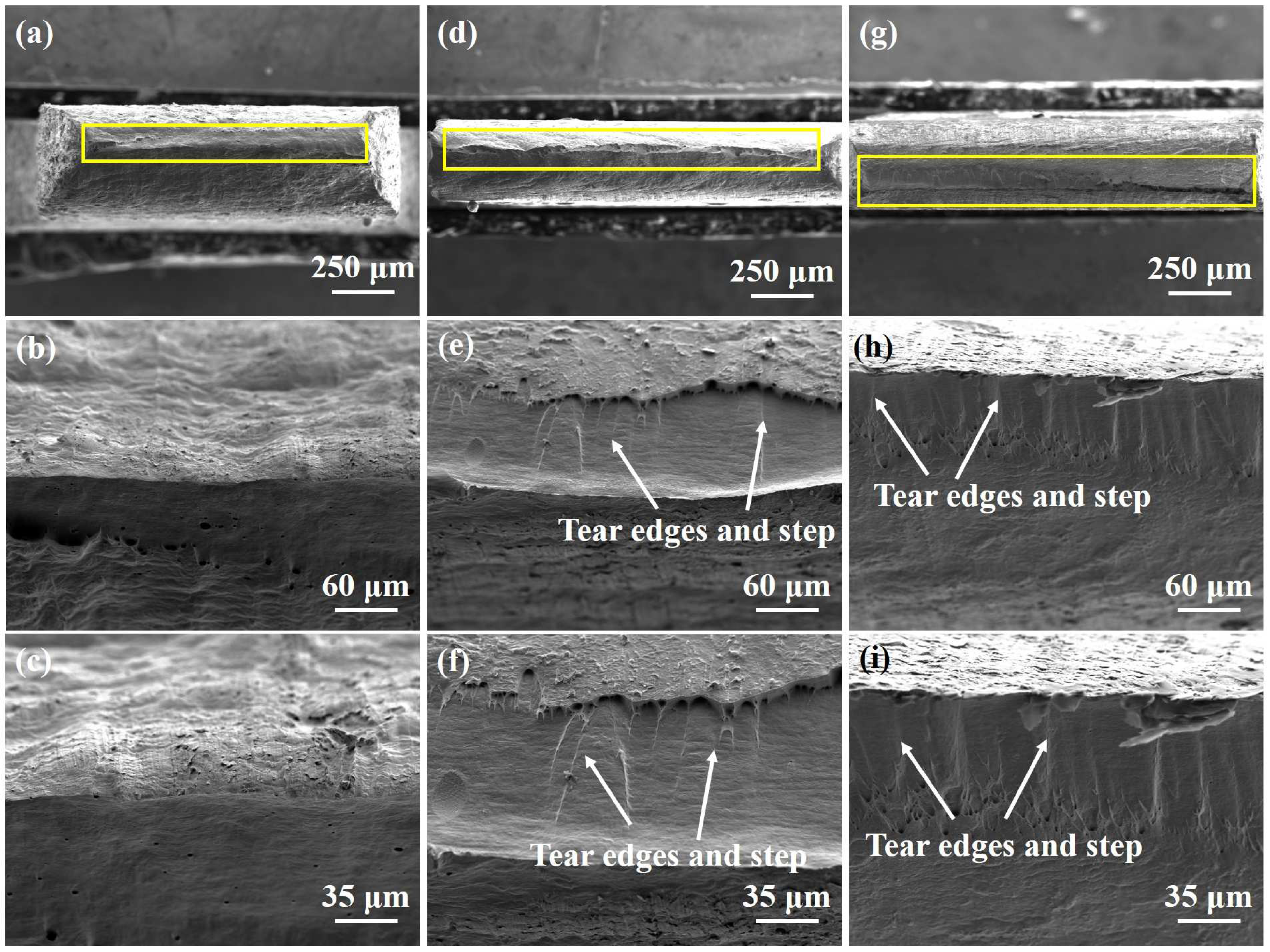 Materials 18 02776 g006