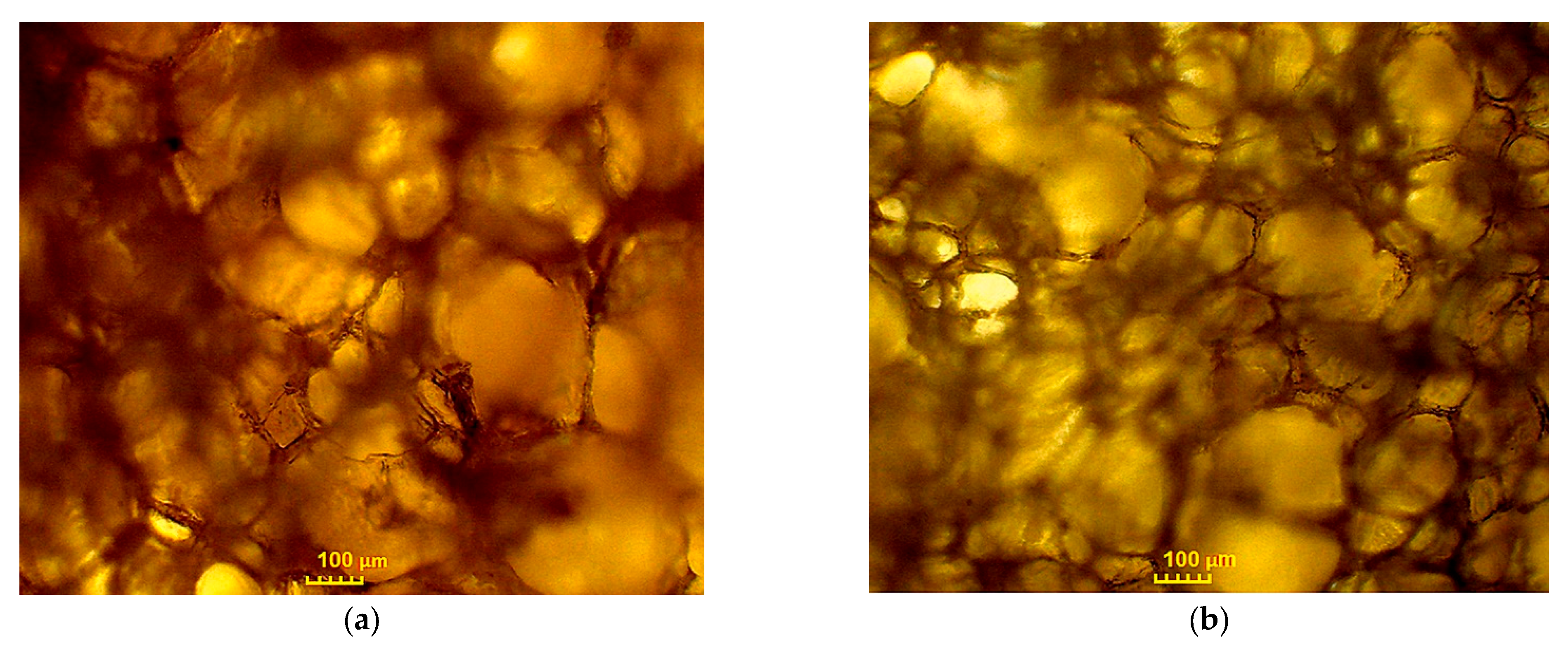 Materials 18 02780 g005