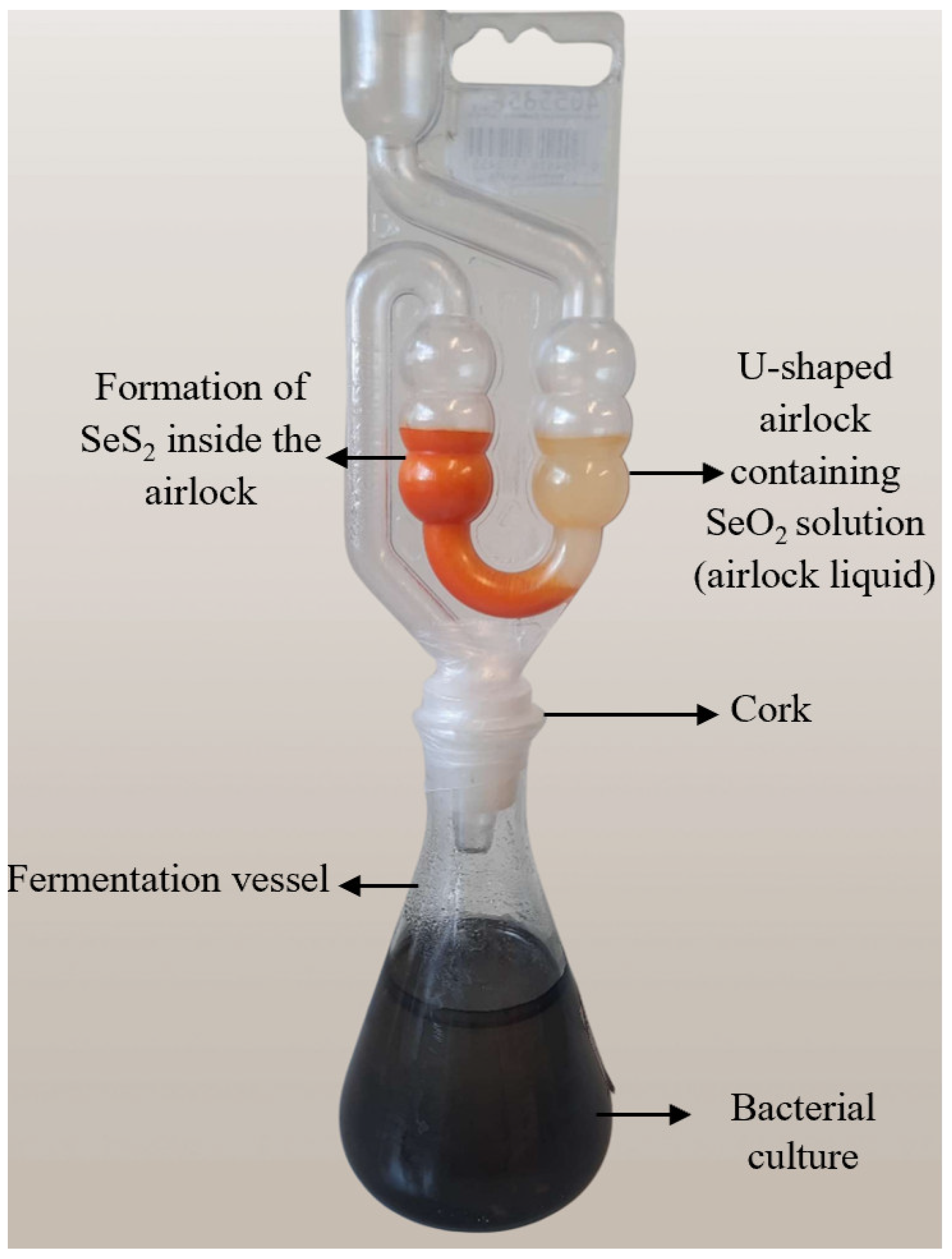 Materials 18 02784 g001