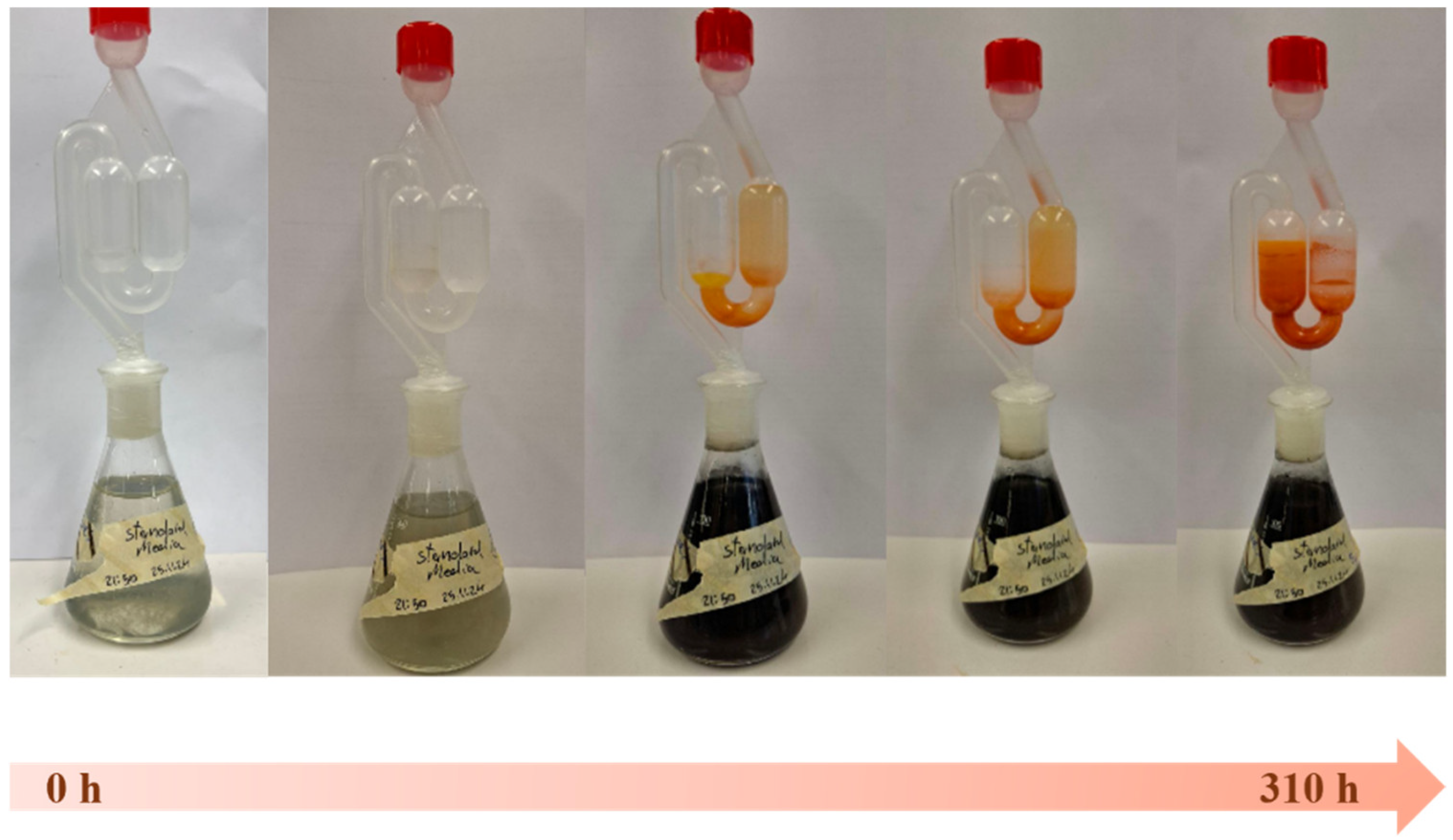 Materials 18 02784 g002