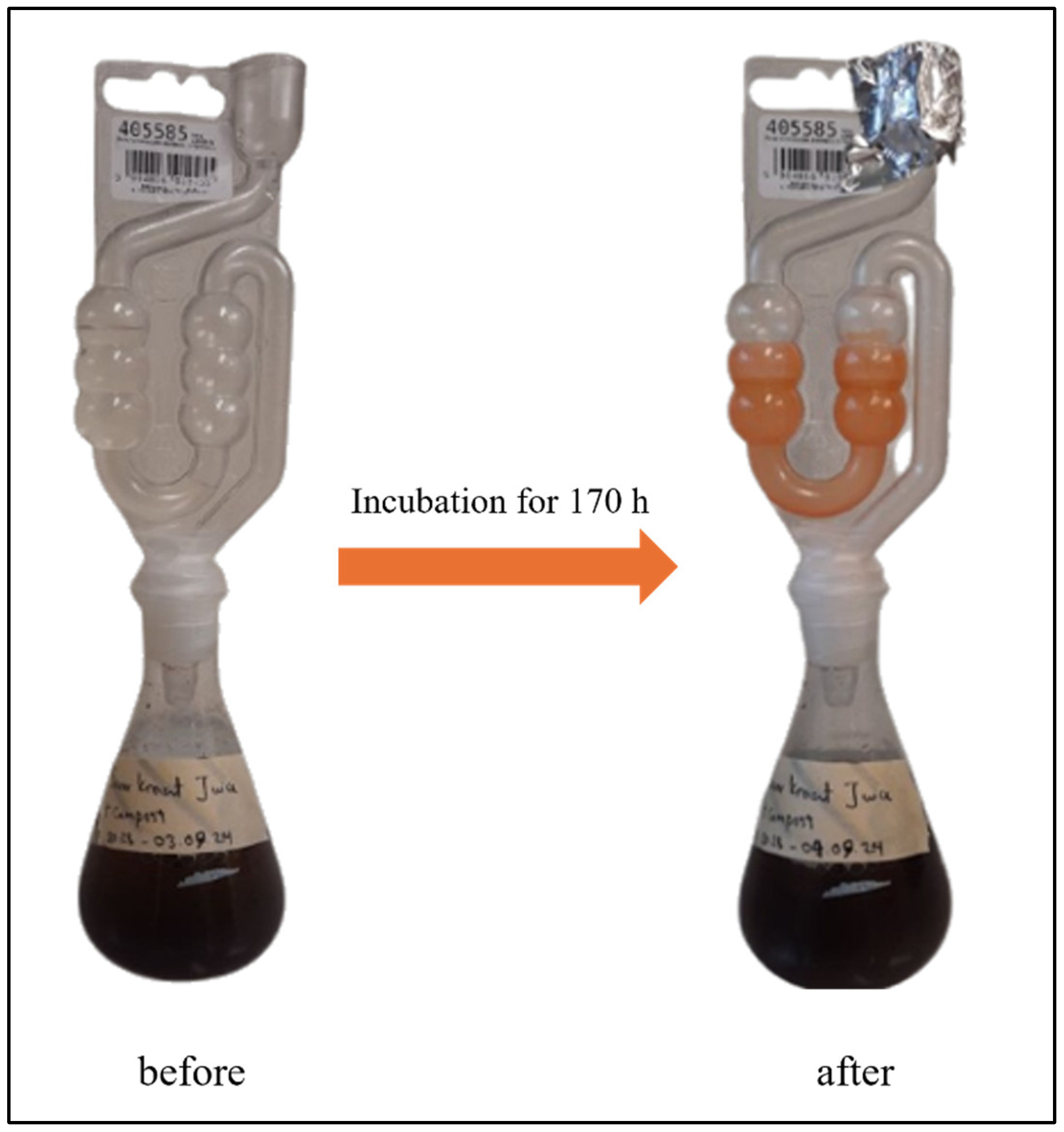 Materials 18 02784 g007