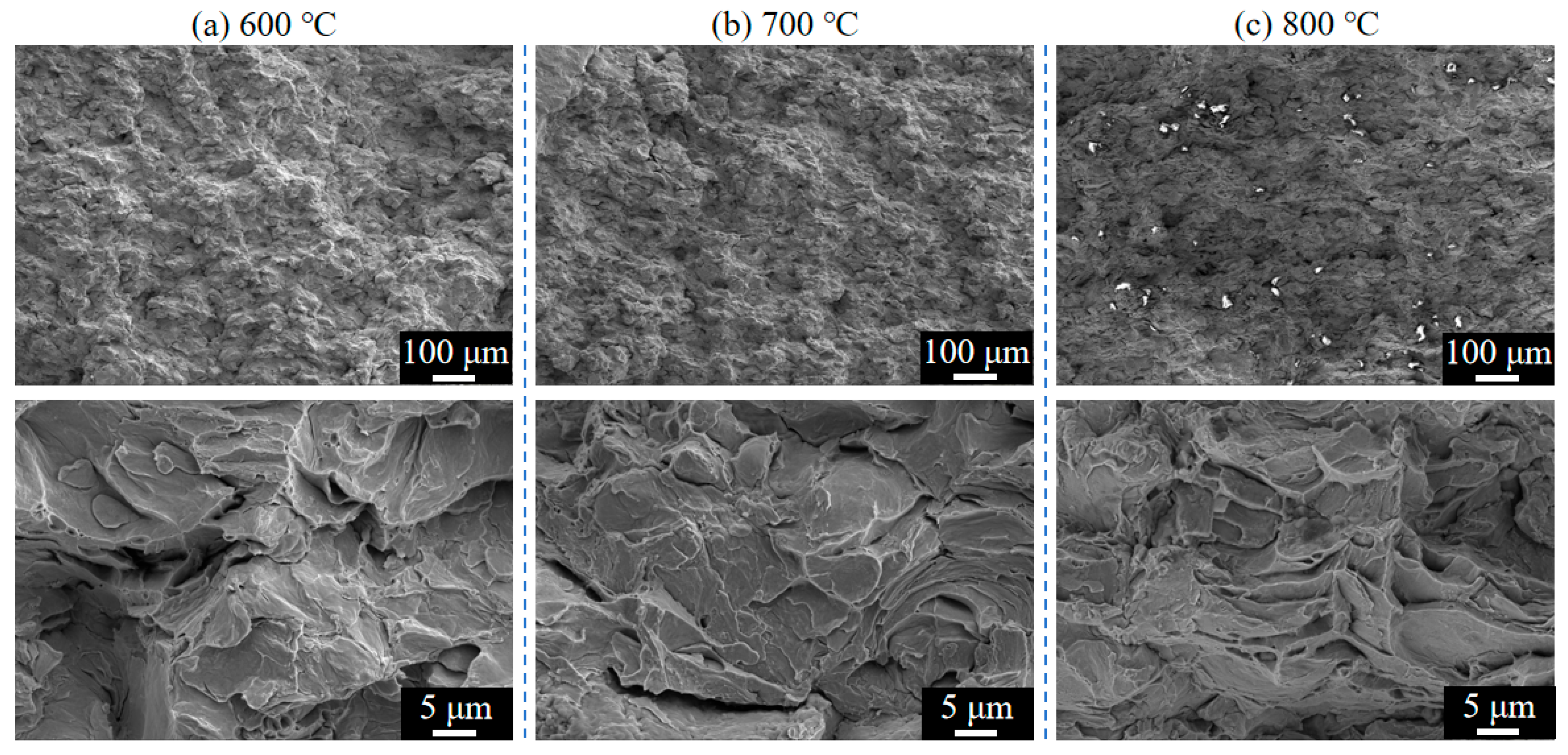 Materials 18 02787 g013