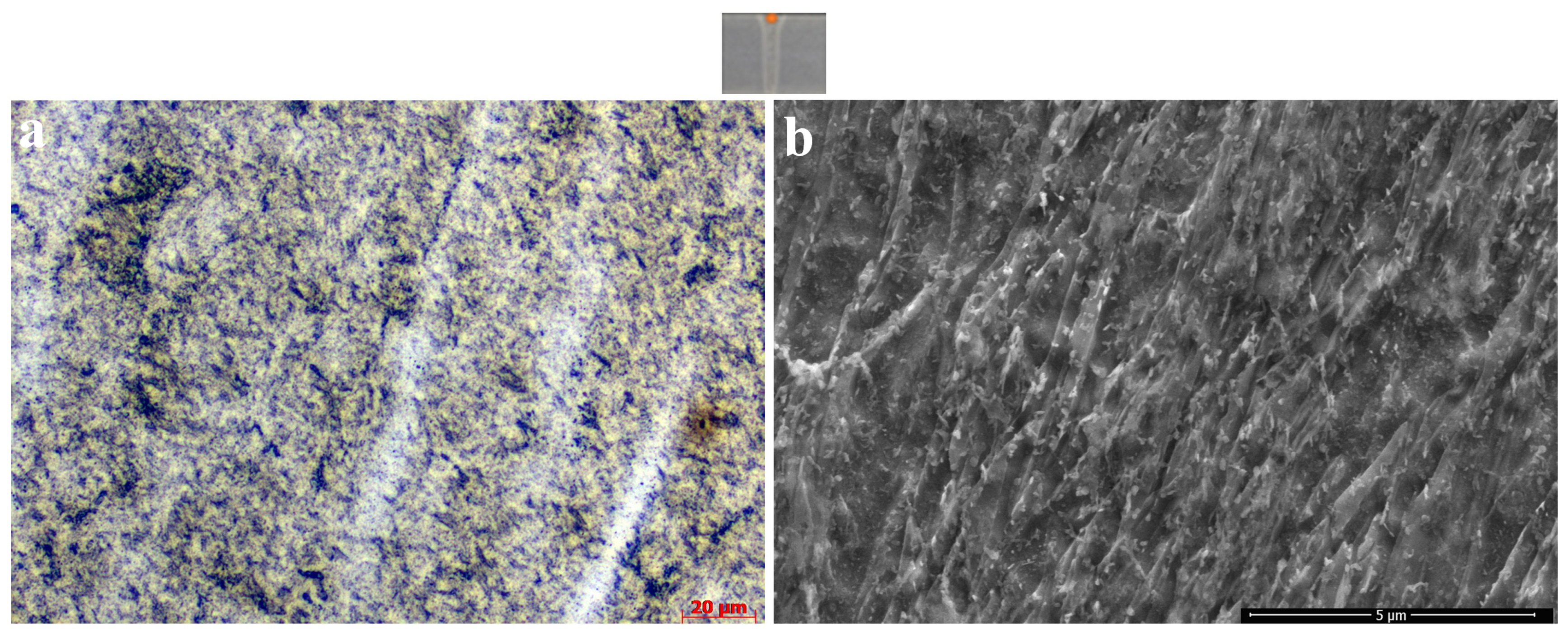 Materials 18 02792 g008