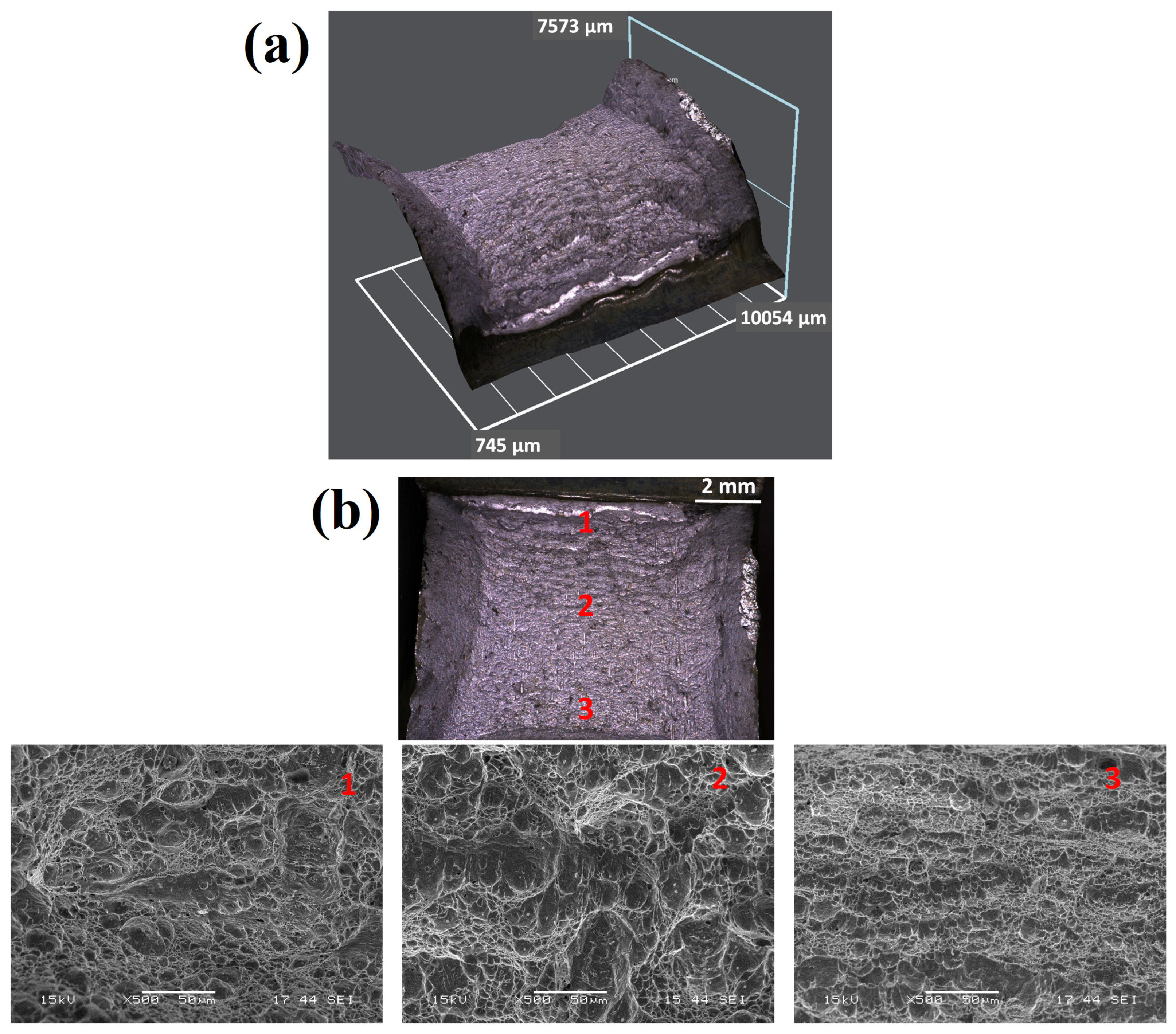 Materials 18 02792 g010