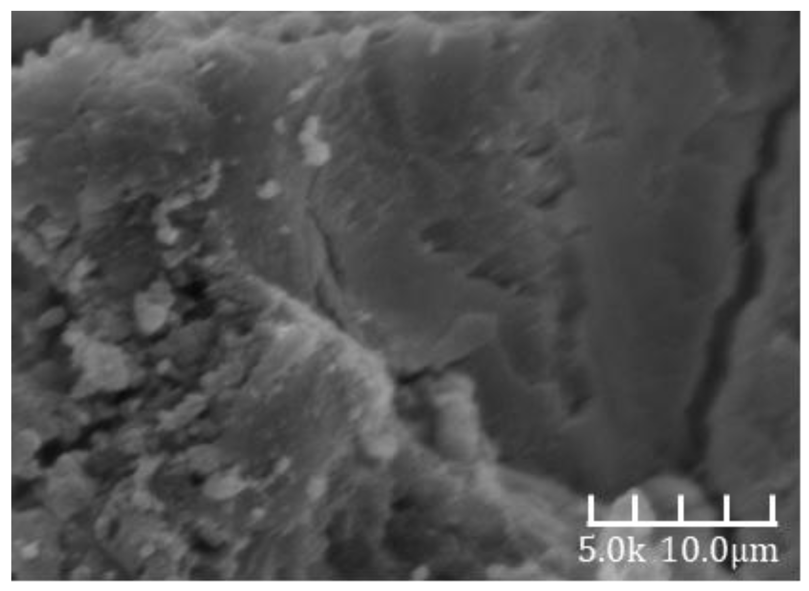 Materials 18 02797 g006