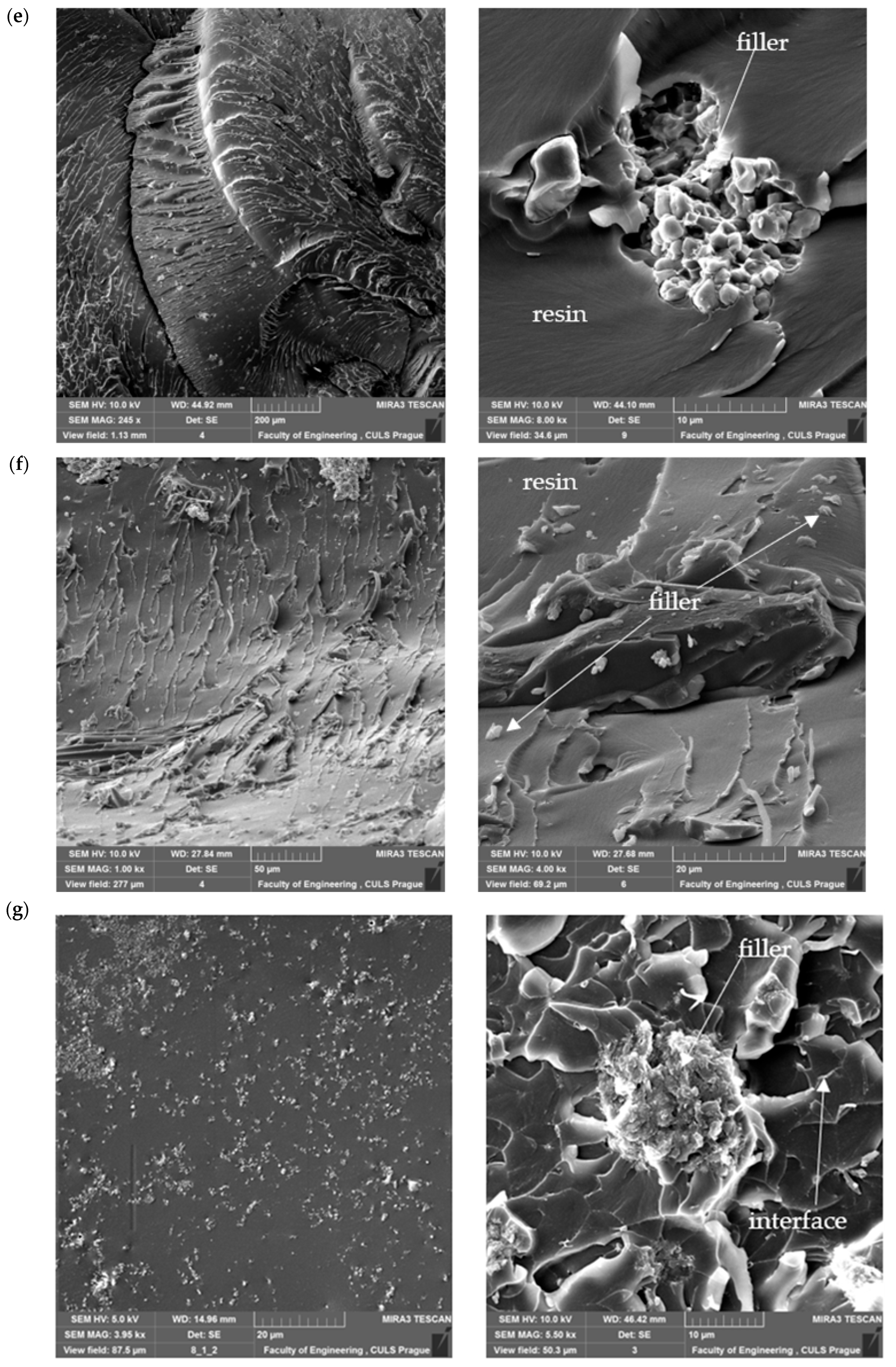 Materials 18 02803 g007c