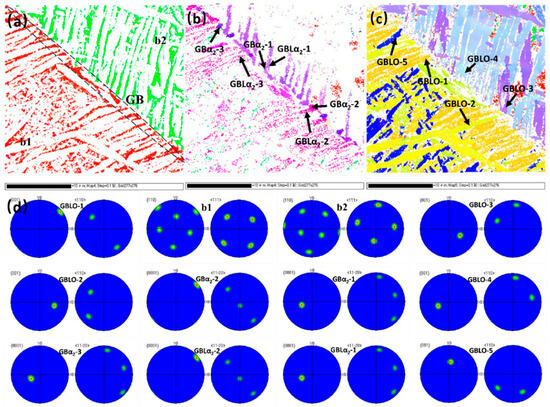 Effect of Hot Isostatic Pressure on the Microstructure