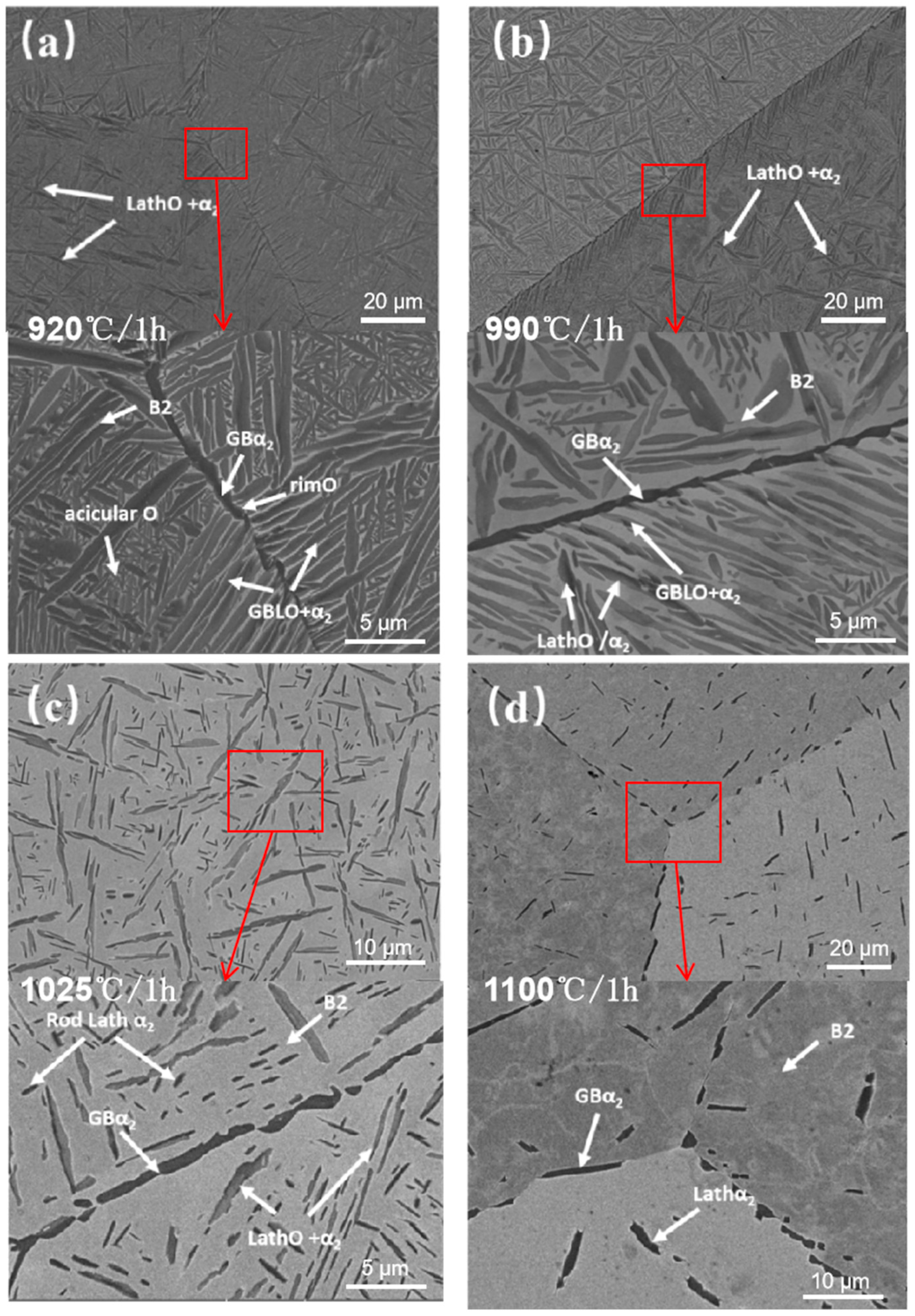 Materials 18 02806 g008