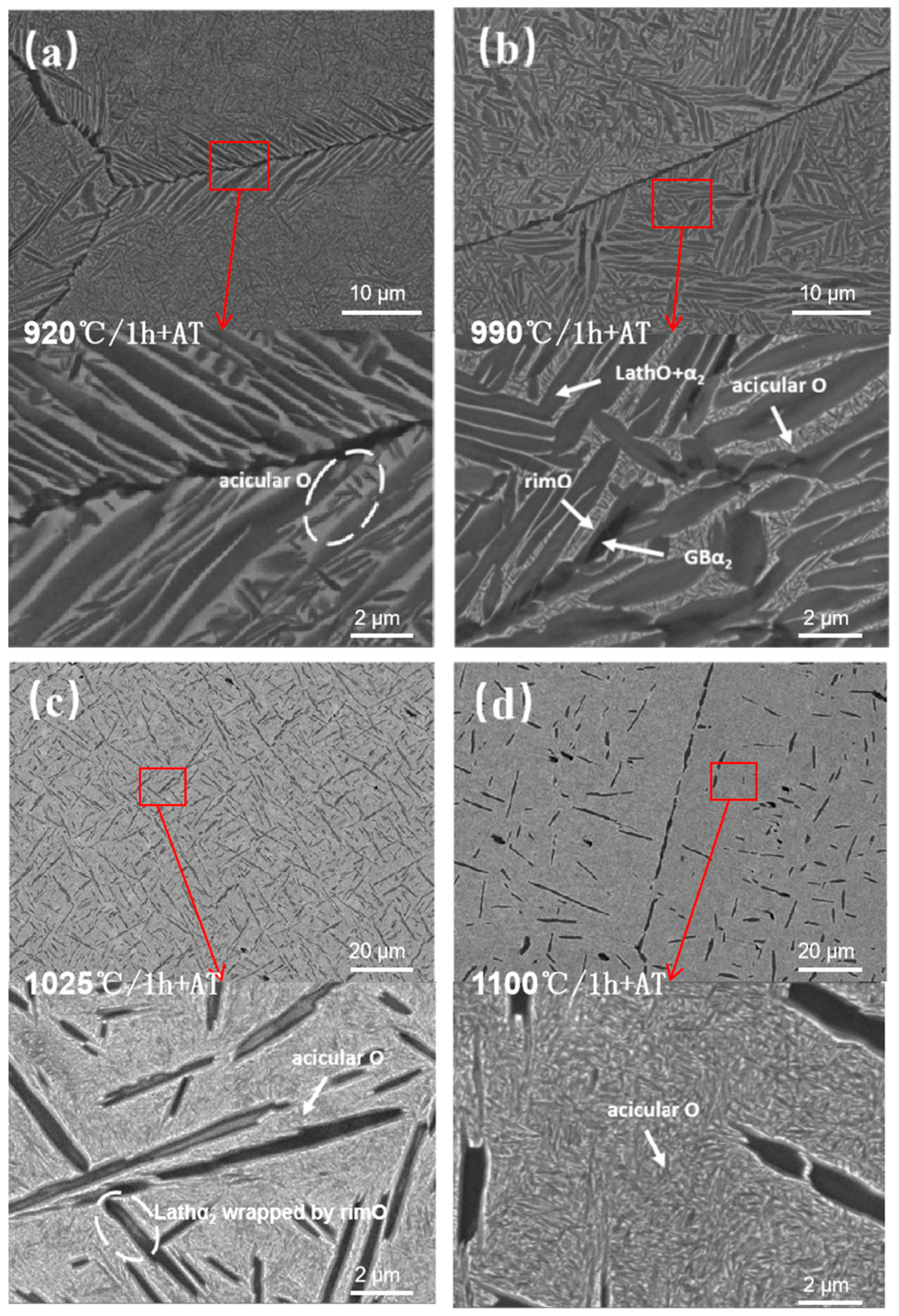 Materials 18 02806 g011