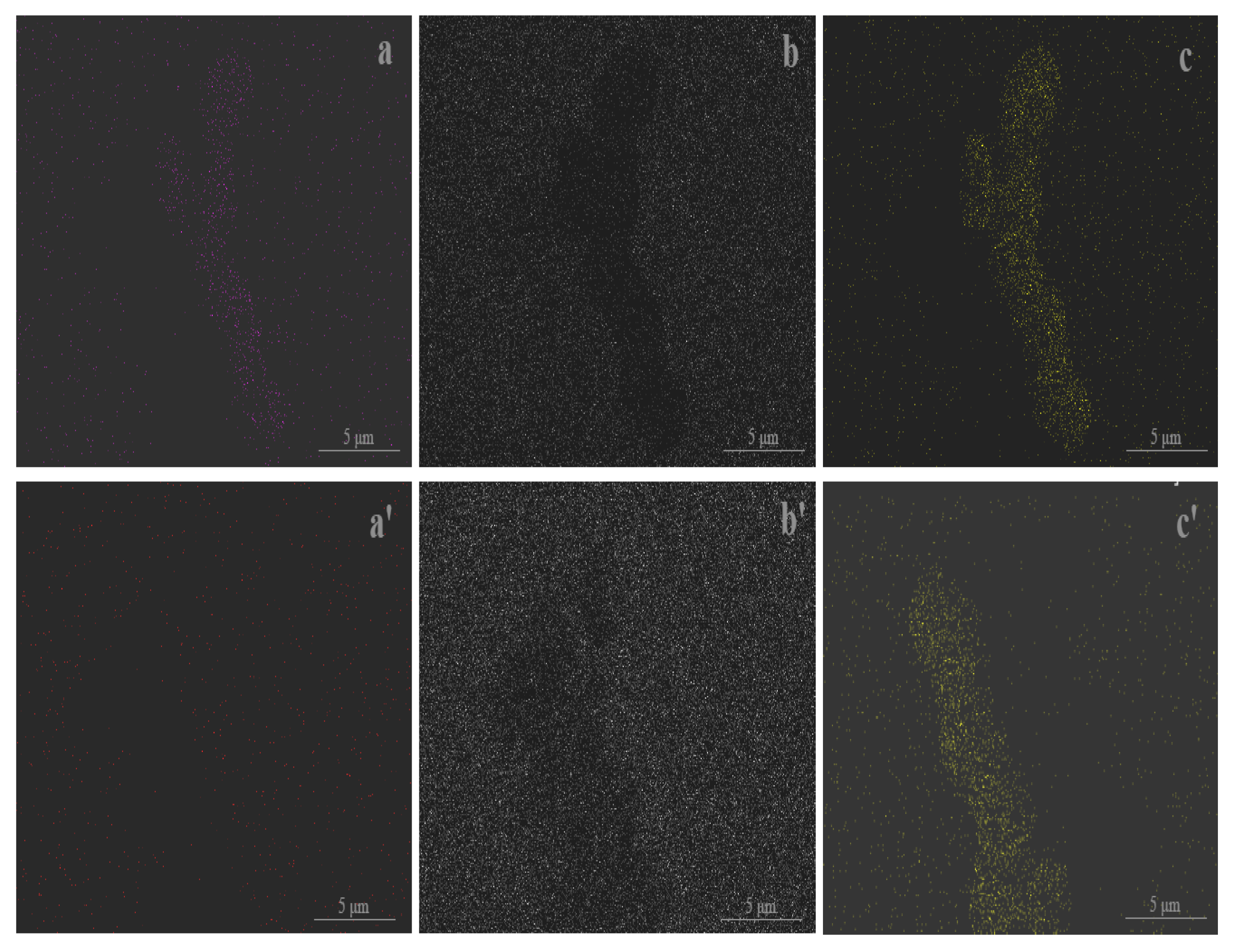 Materials 18 02808 g003