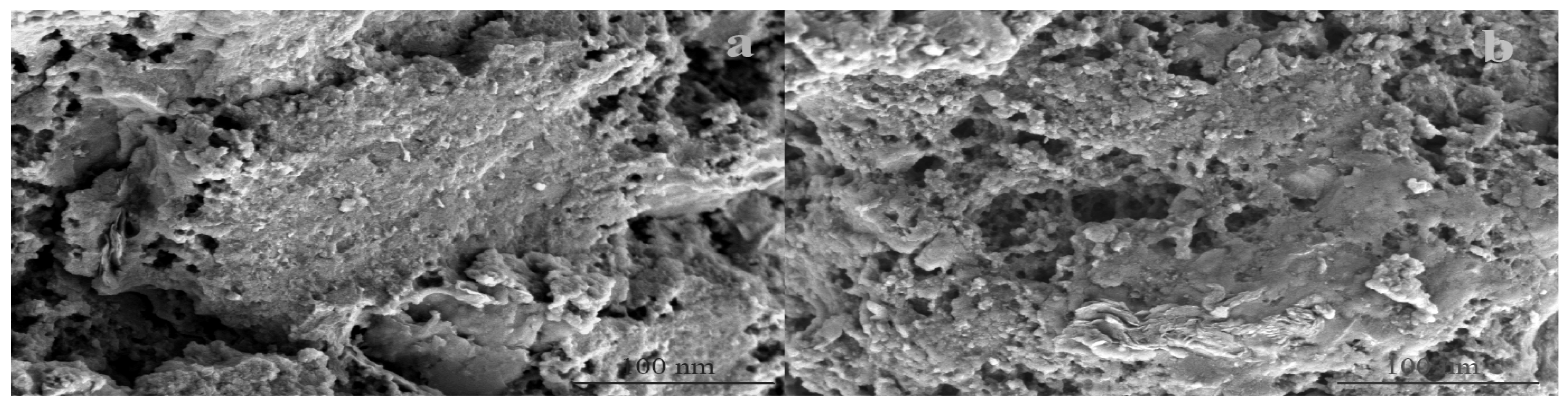 Materials 18 02808 g004