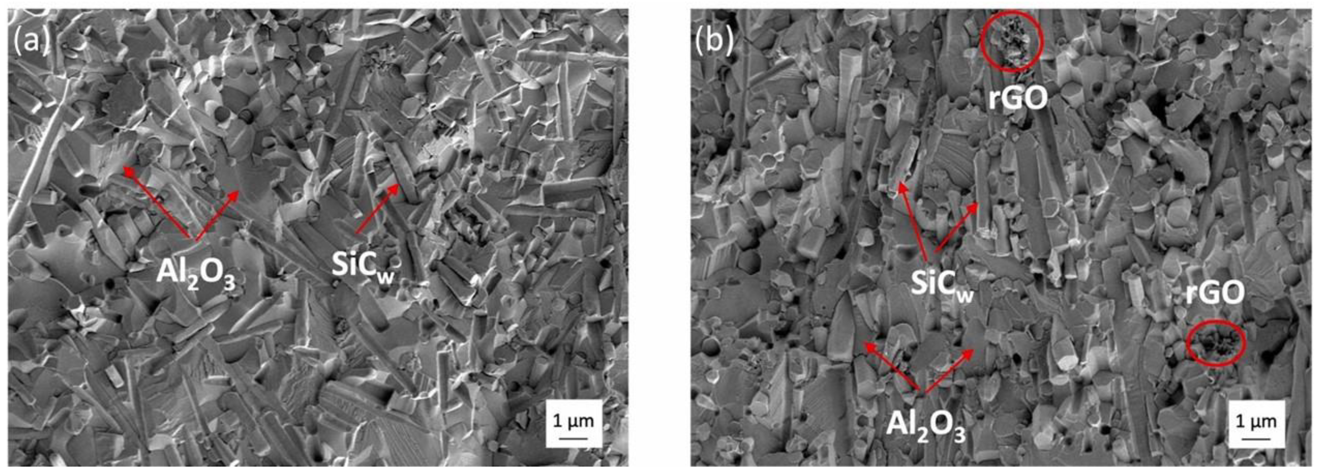 Materials 18 02813 g011