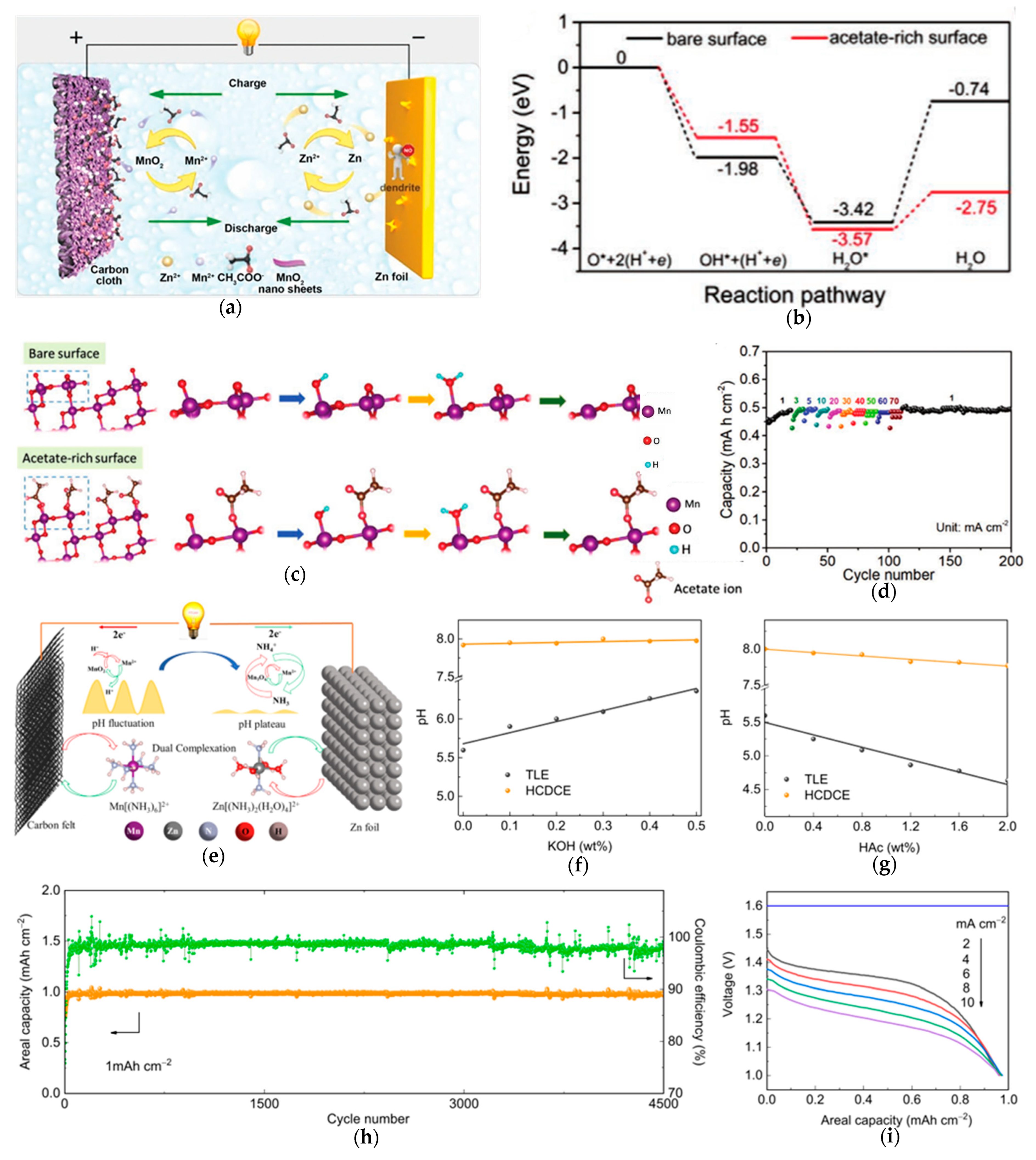 Materials 18 02817 g007