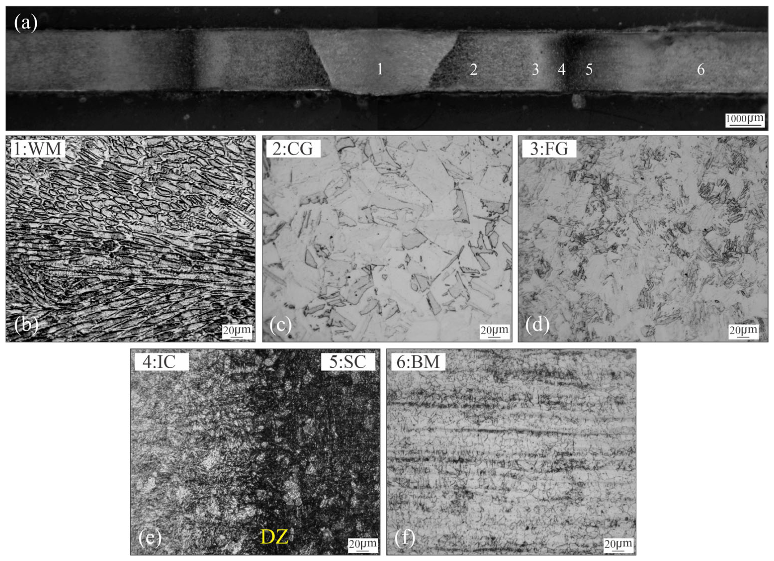 Materials 18 02820 g002