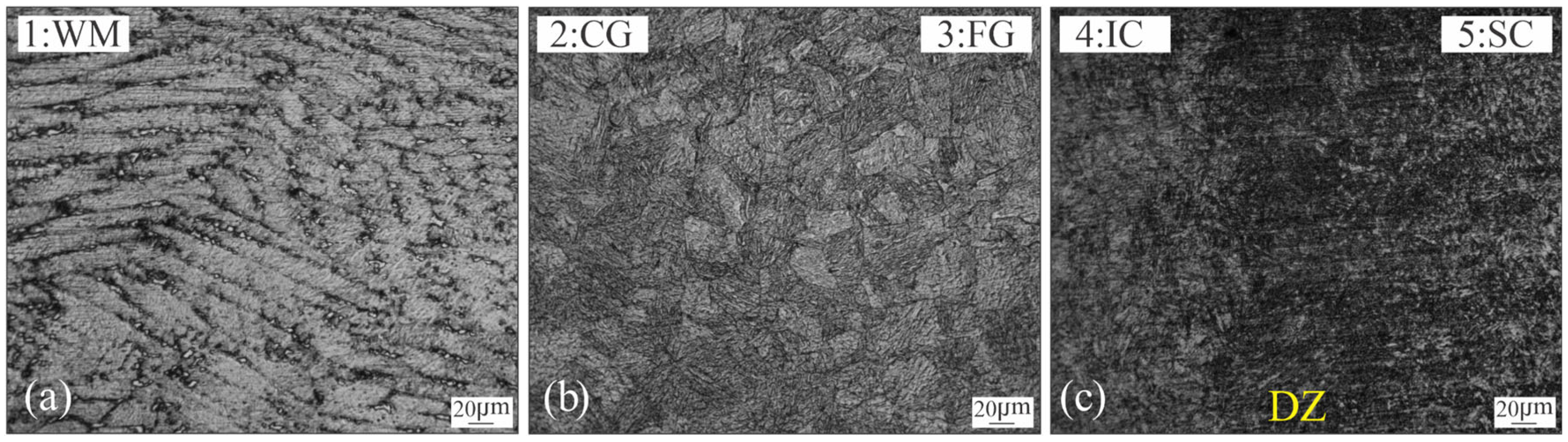 Materials 18 02820 g005