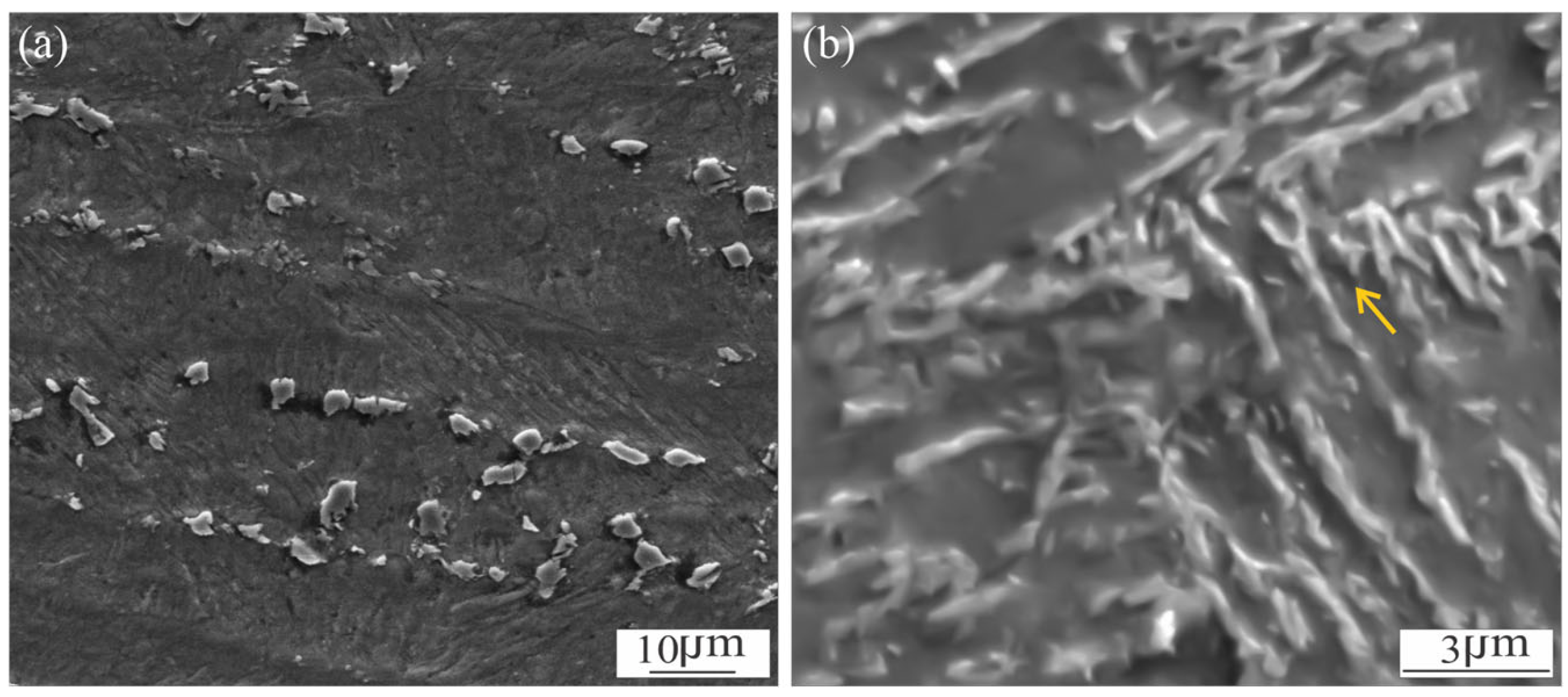 Materials 18 02820 g006