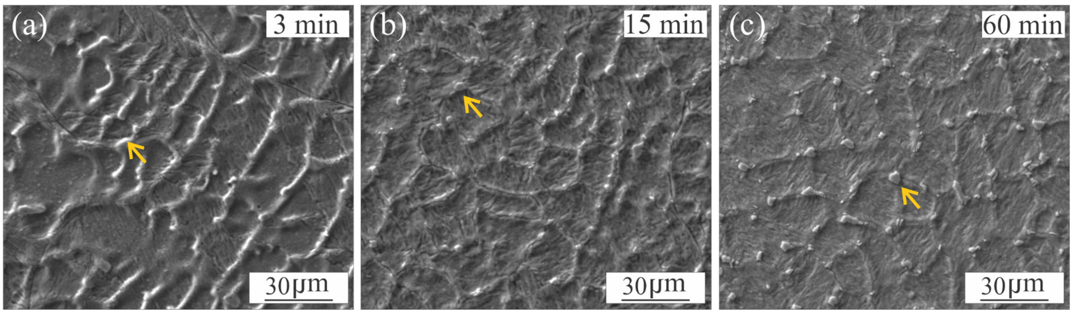 Materials 18 02820 g013