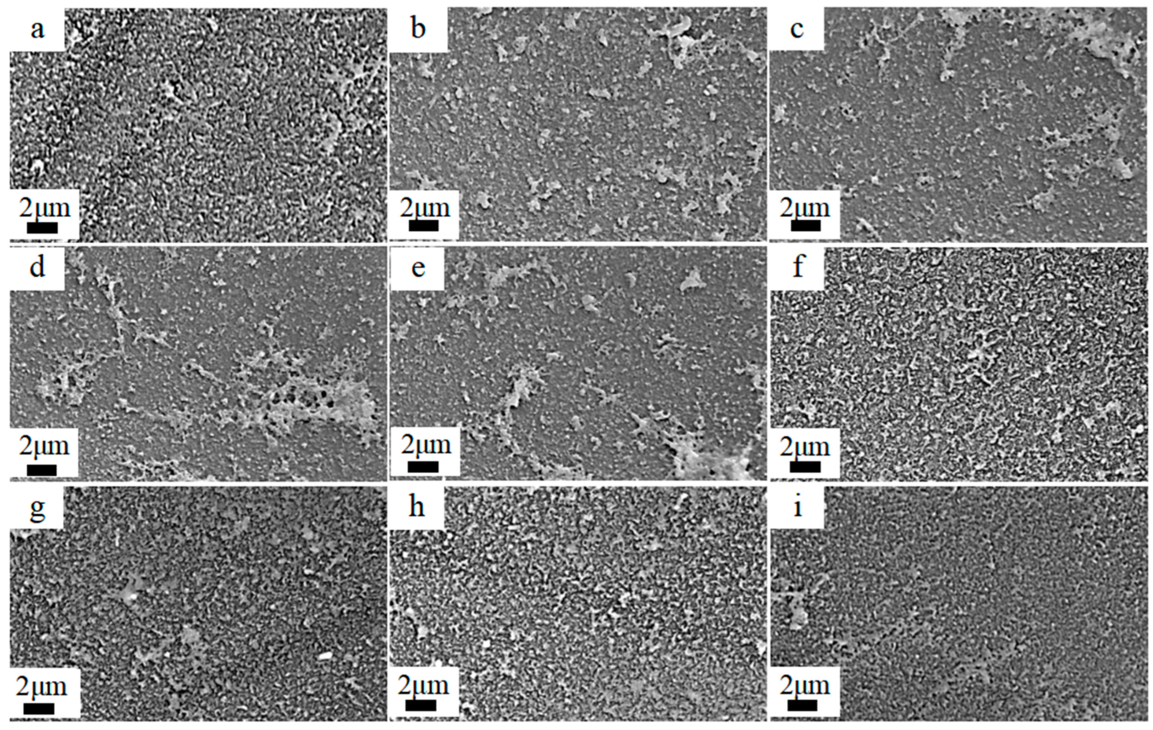 Materials 18 02824 g007