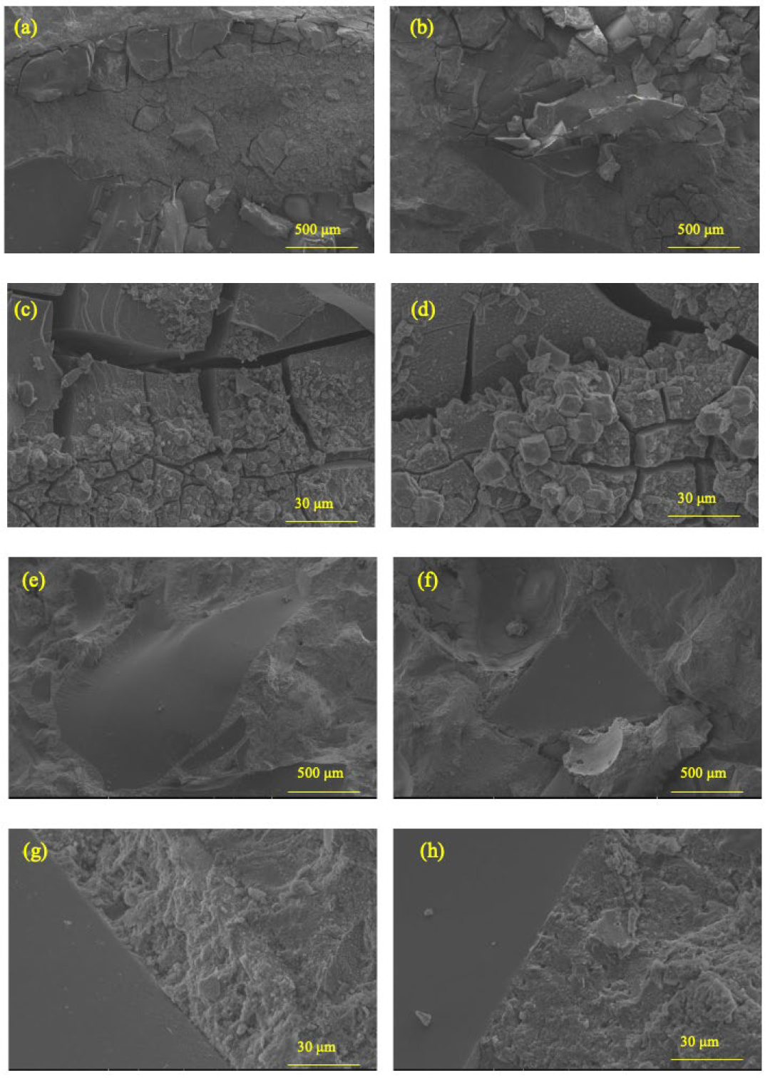 Materials 18 02838 g010