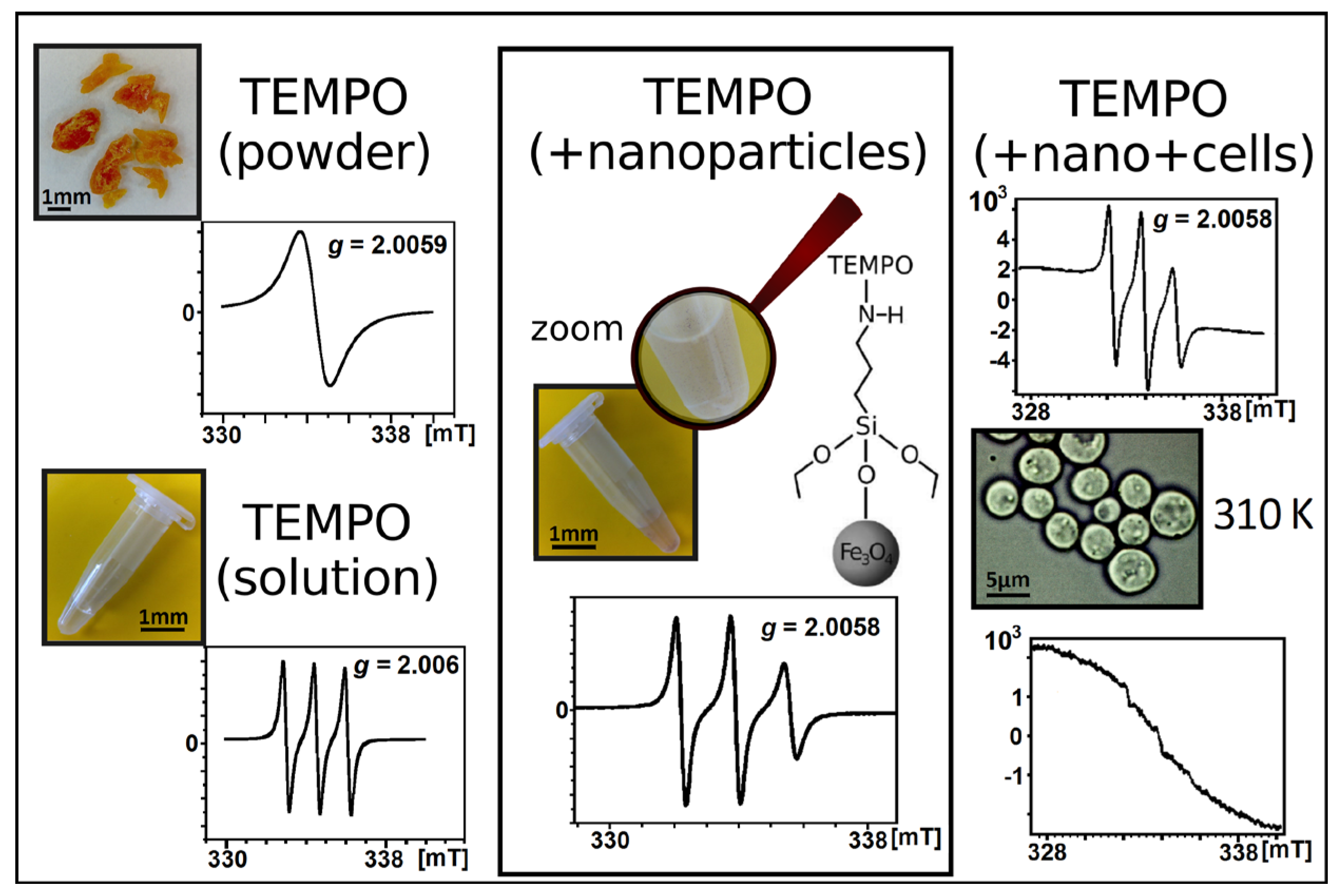 Materials 18 02841 g006