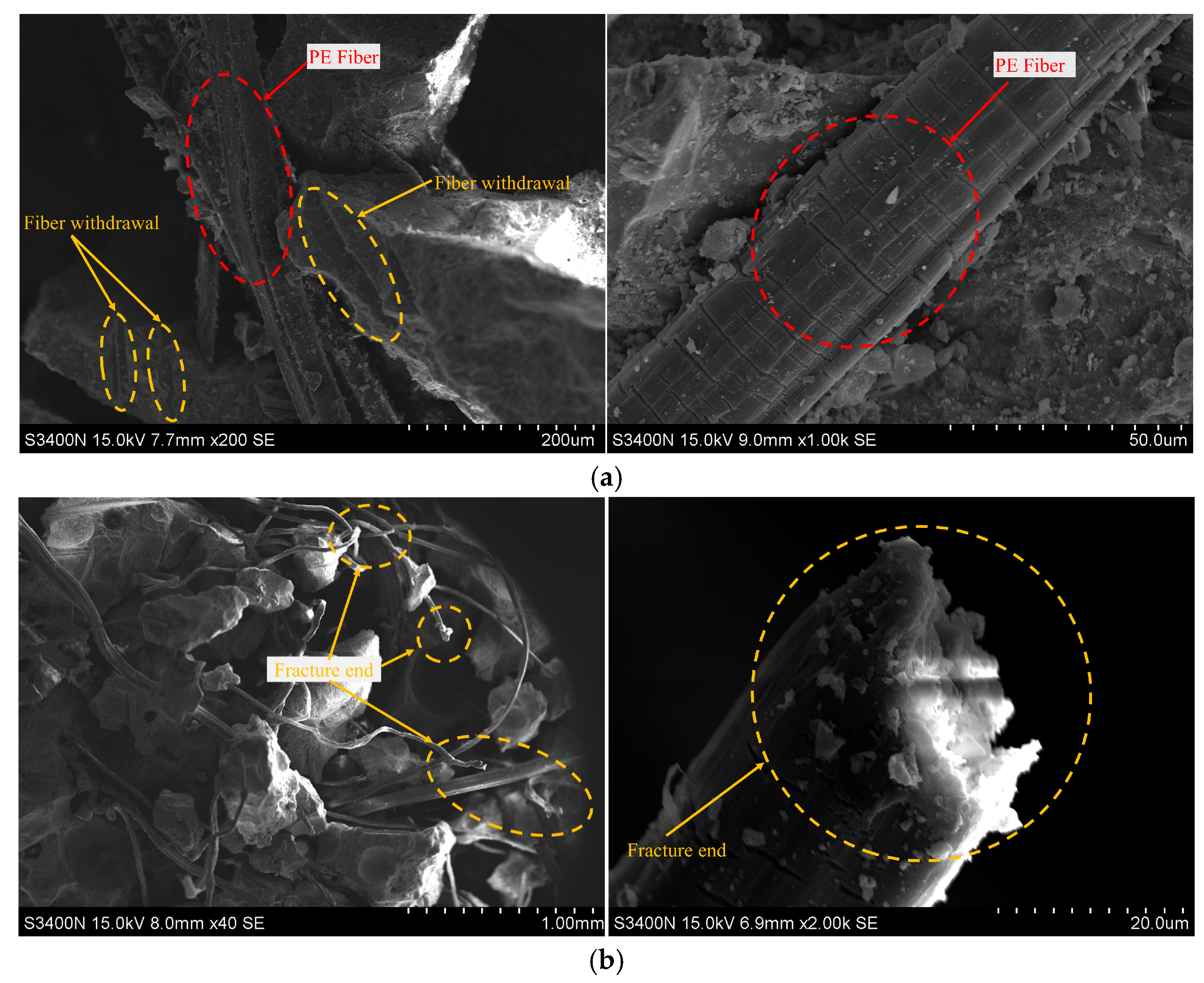 Materials 18 02846 g012