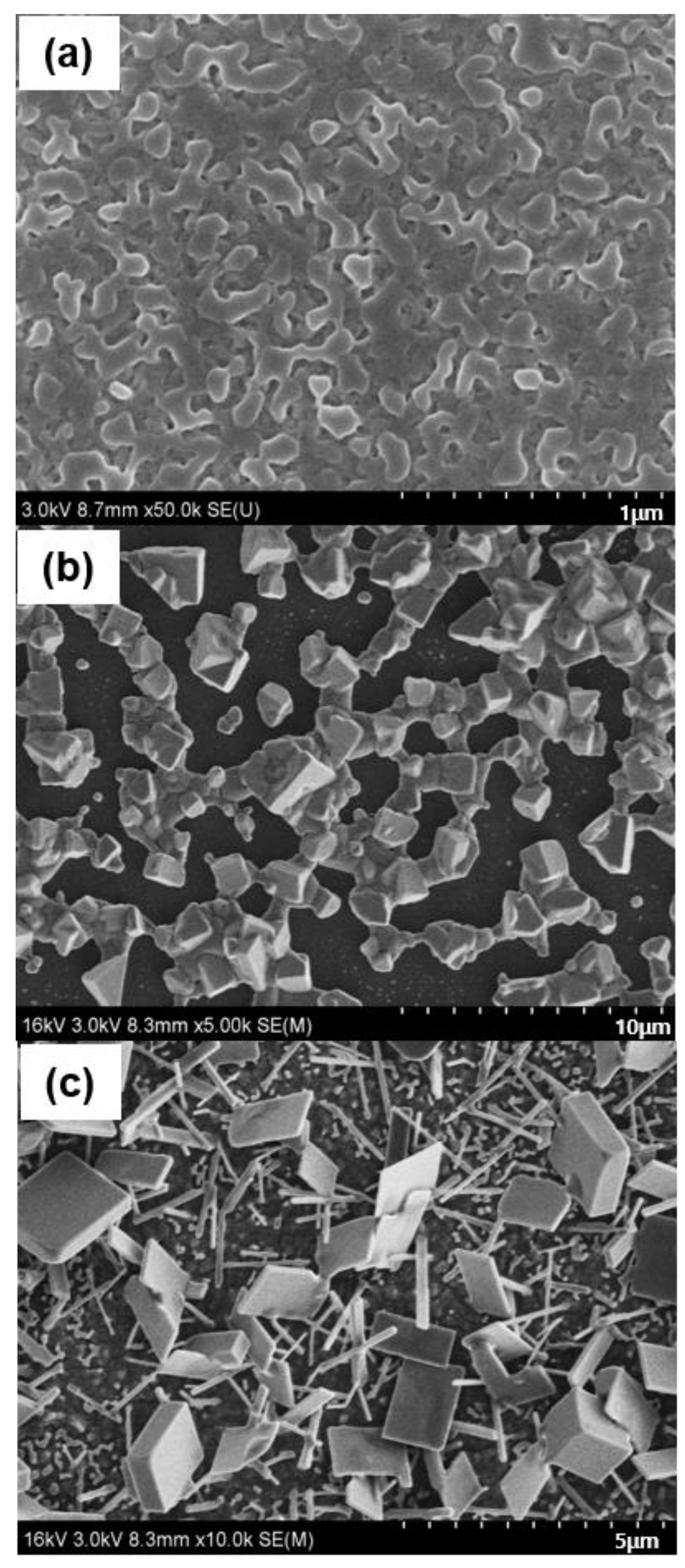 Materials 18 02858 g004