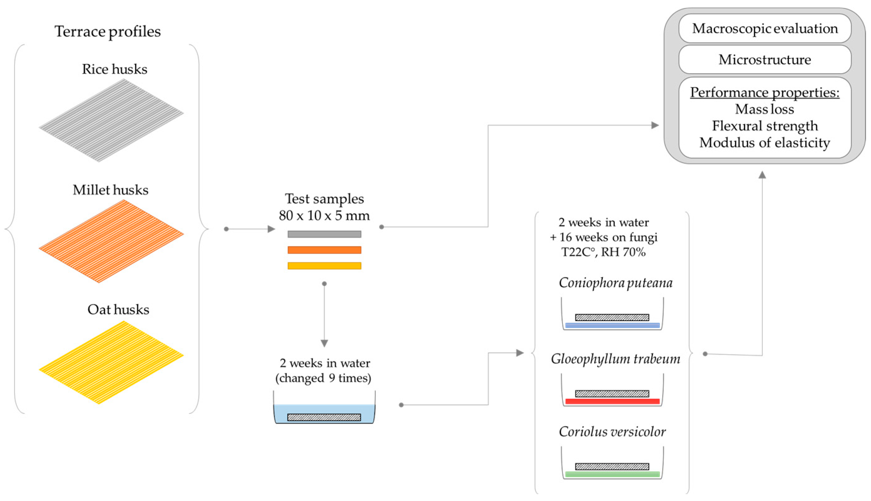 Materials 18 02860 g003 Materials 18 02860 g003
