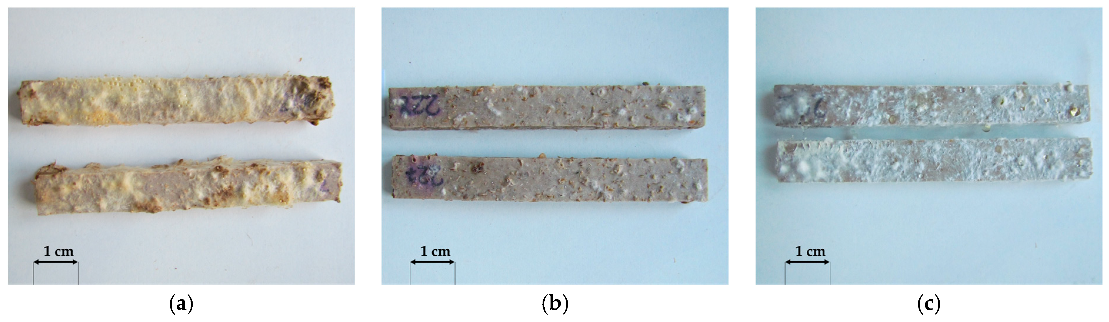 Materials 18 02860 g005 Materials 18 02860 g005