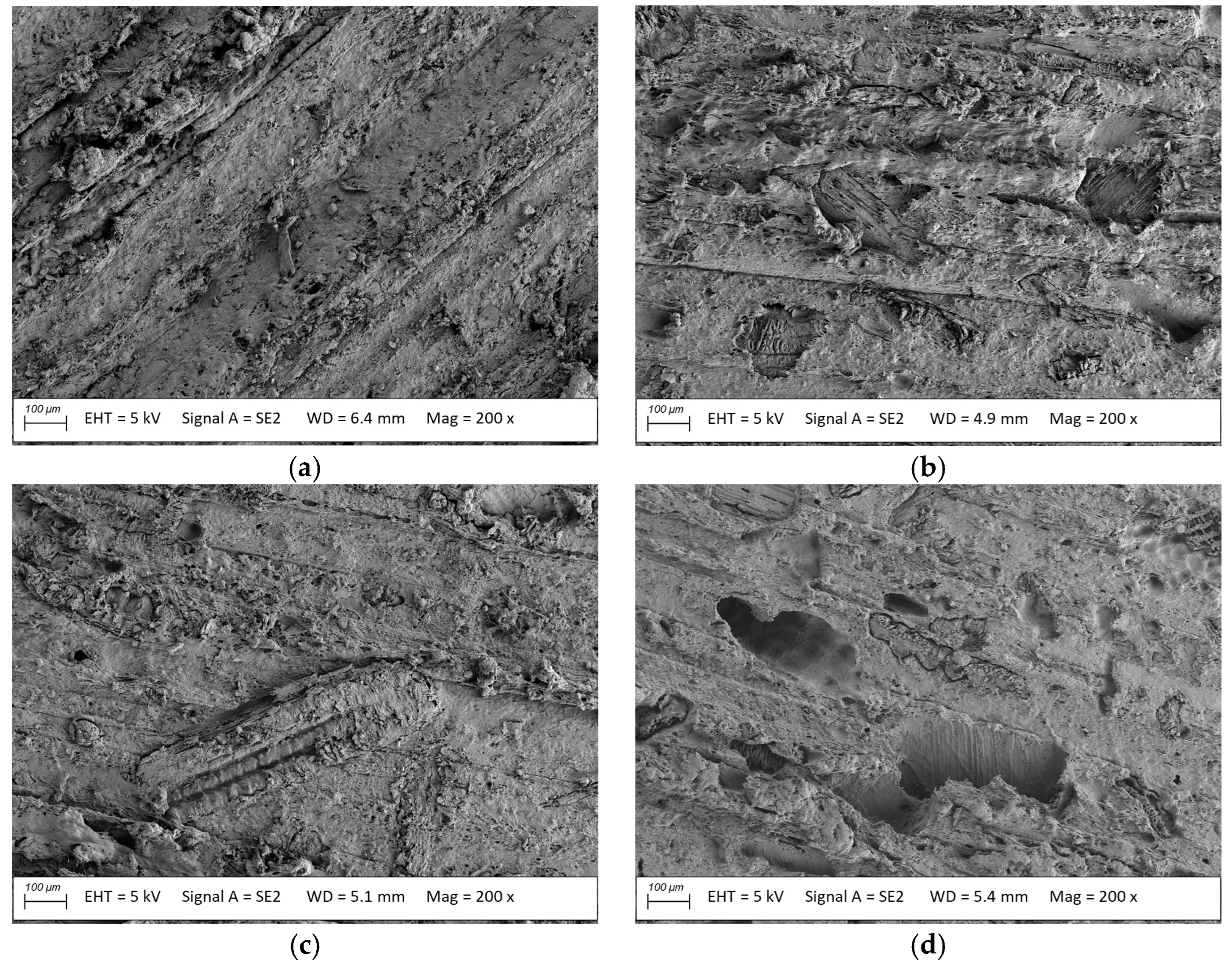 Materials 18 02860 g007 Materials 18 02860 g007
