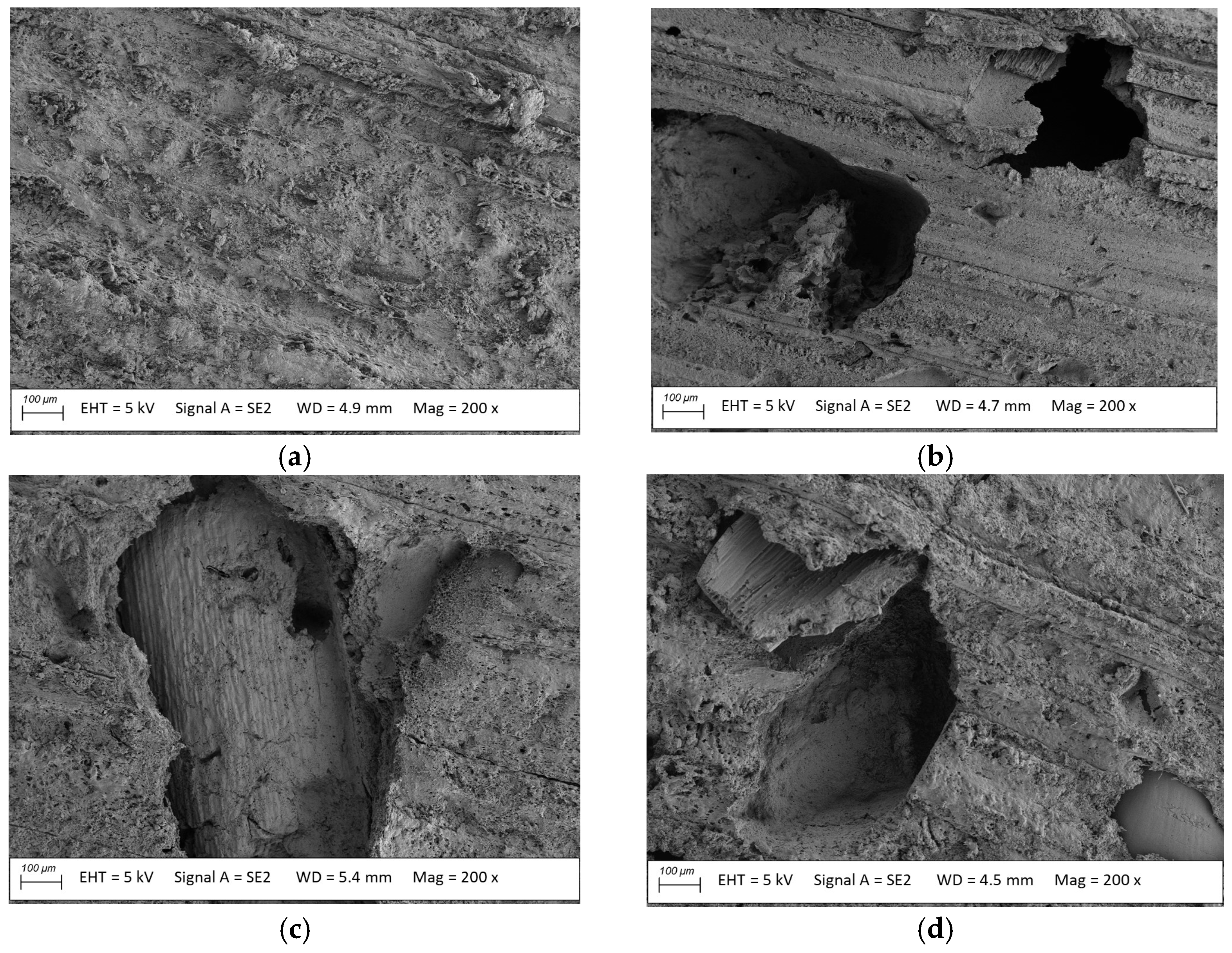 Materials 18 02860 g008 Materials 18 02860 g008