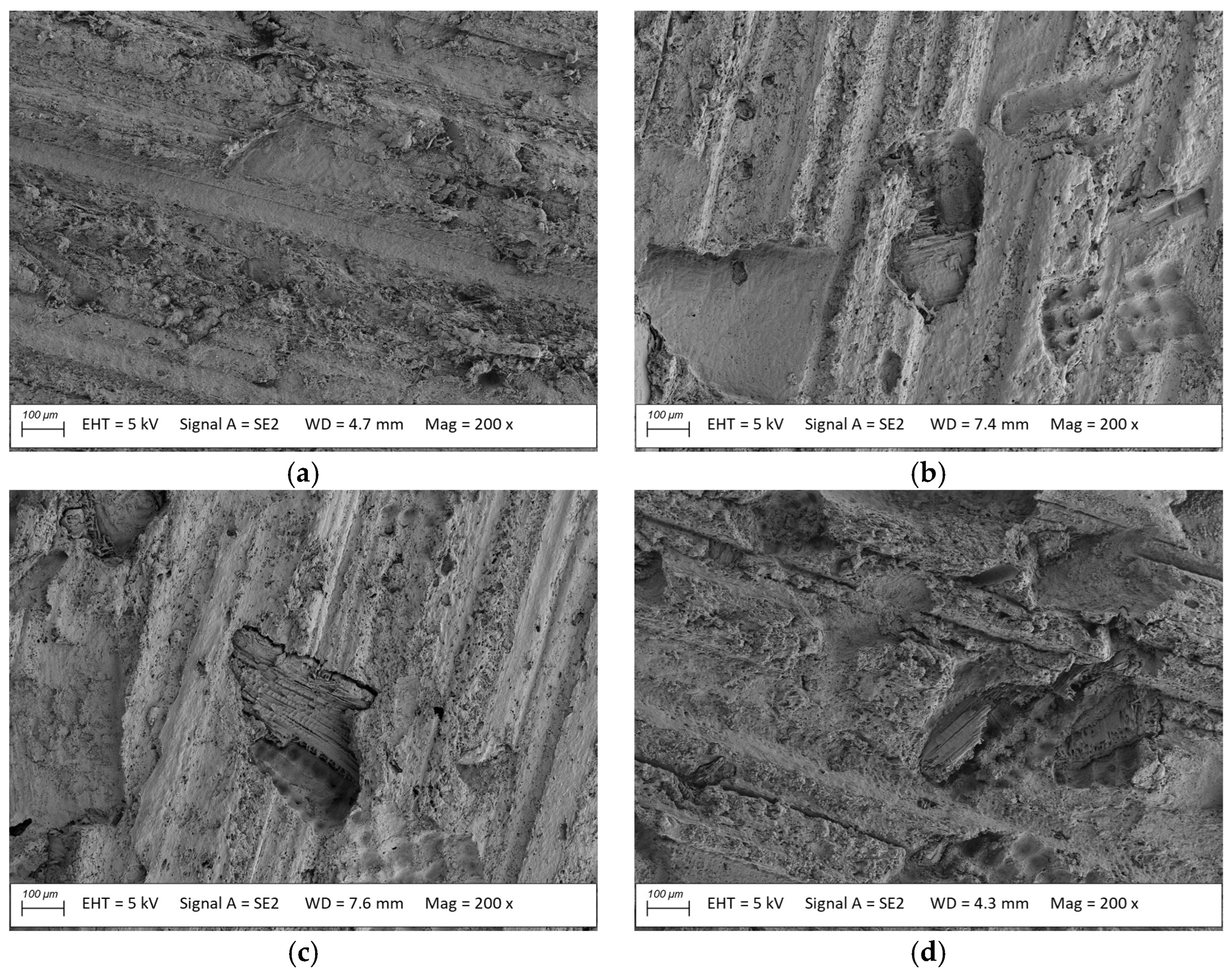 Materials 18 02860 g009 Materials 18 02860 g009