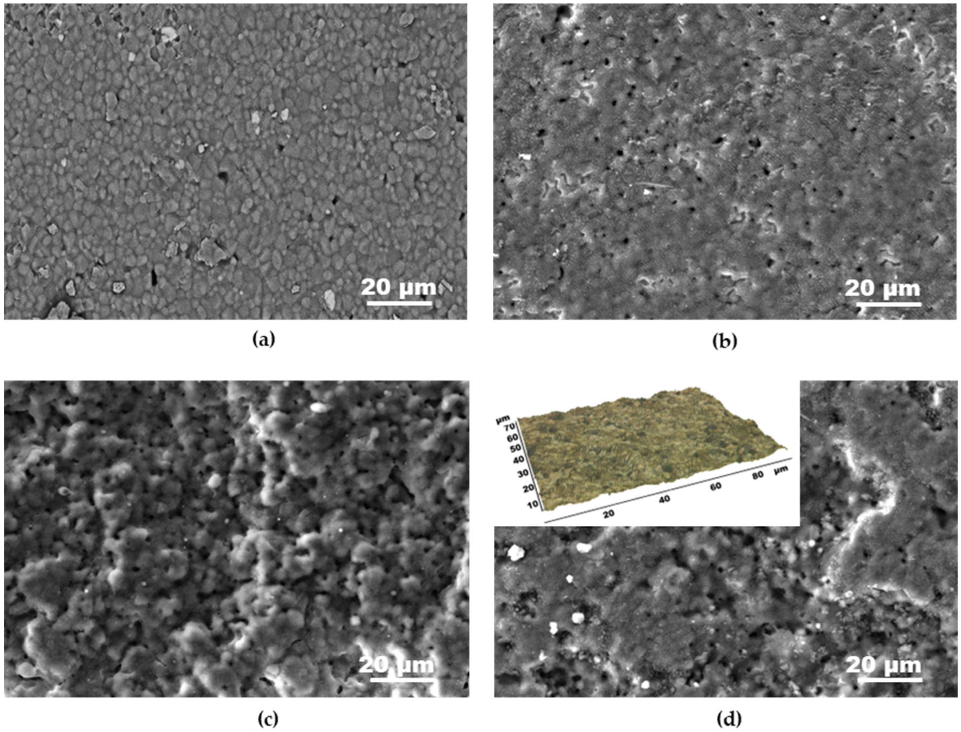 Materials 18 02861 g005