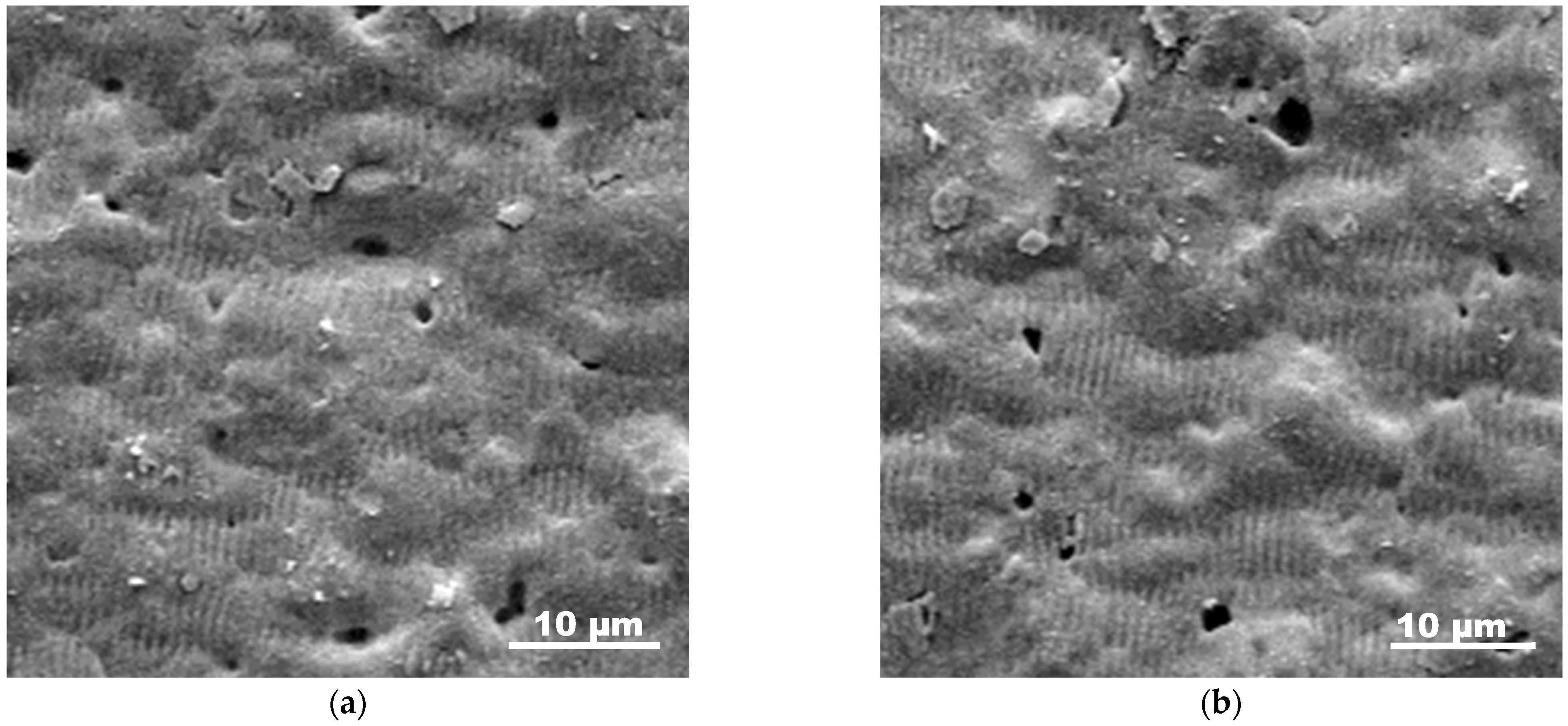 Materials 18 02861 g008