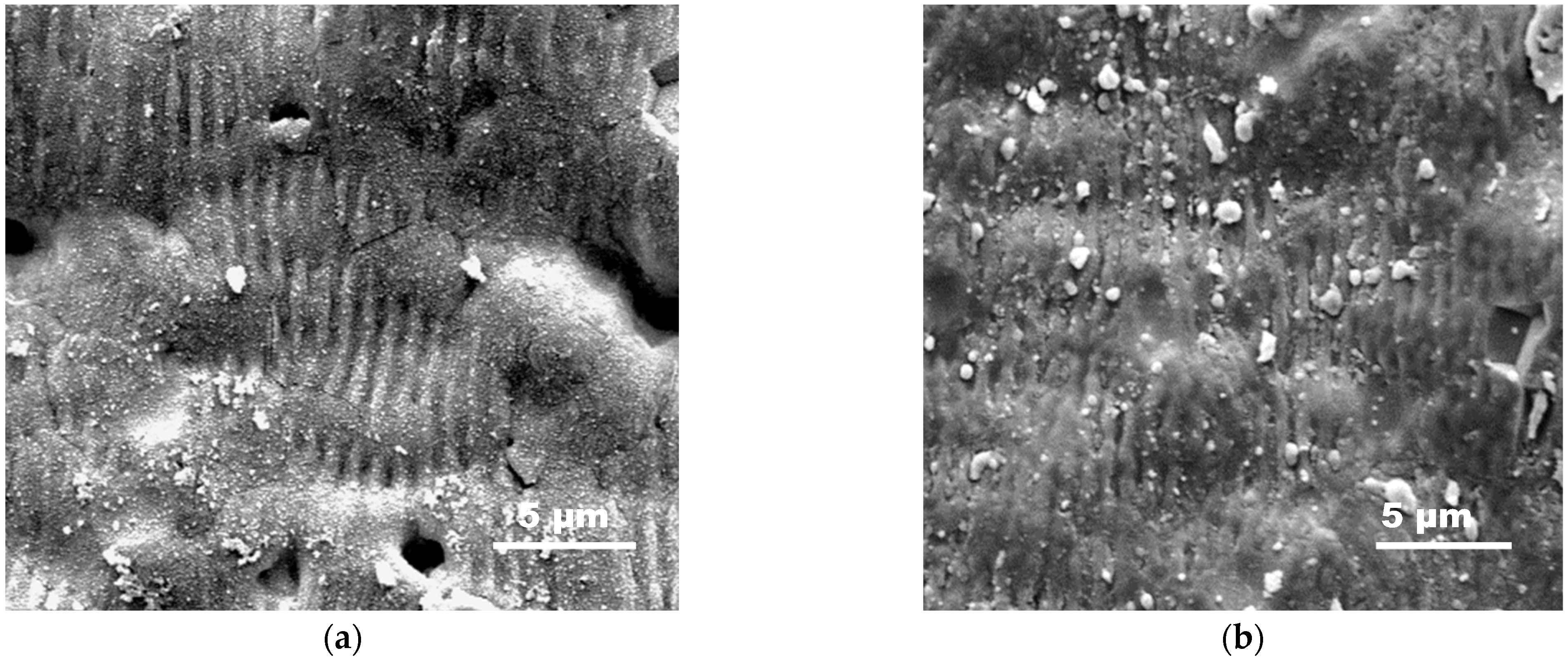 Materials 18 02861 g010