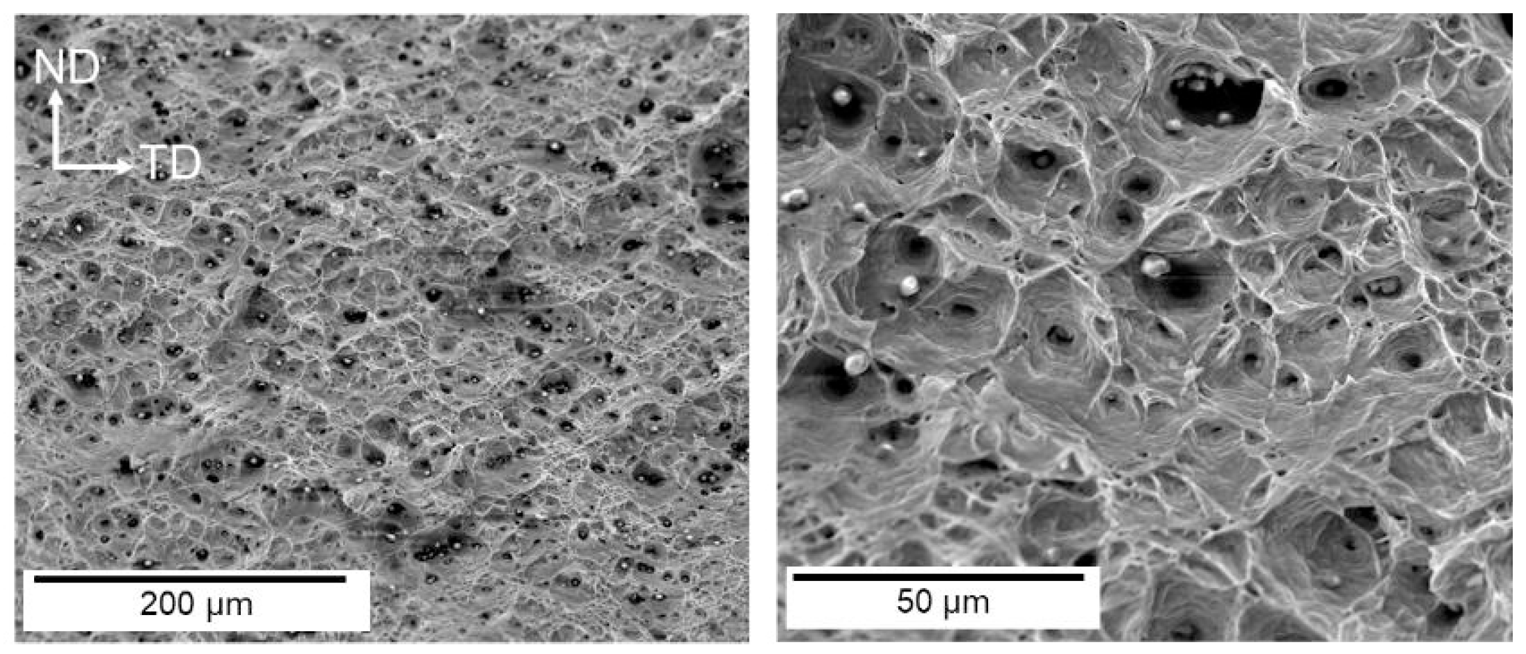 Materials 18 02862 g007