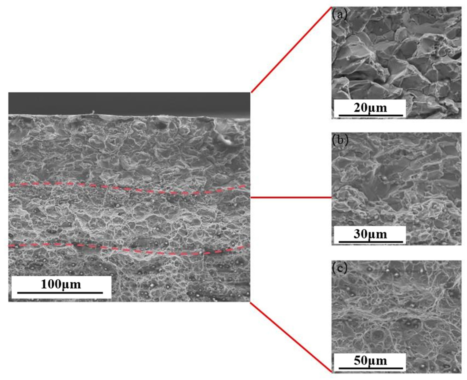 Materials 18 02862 g008