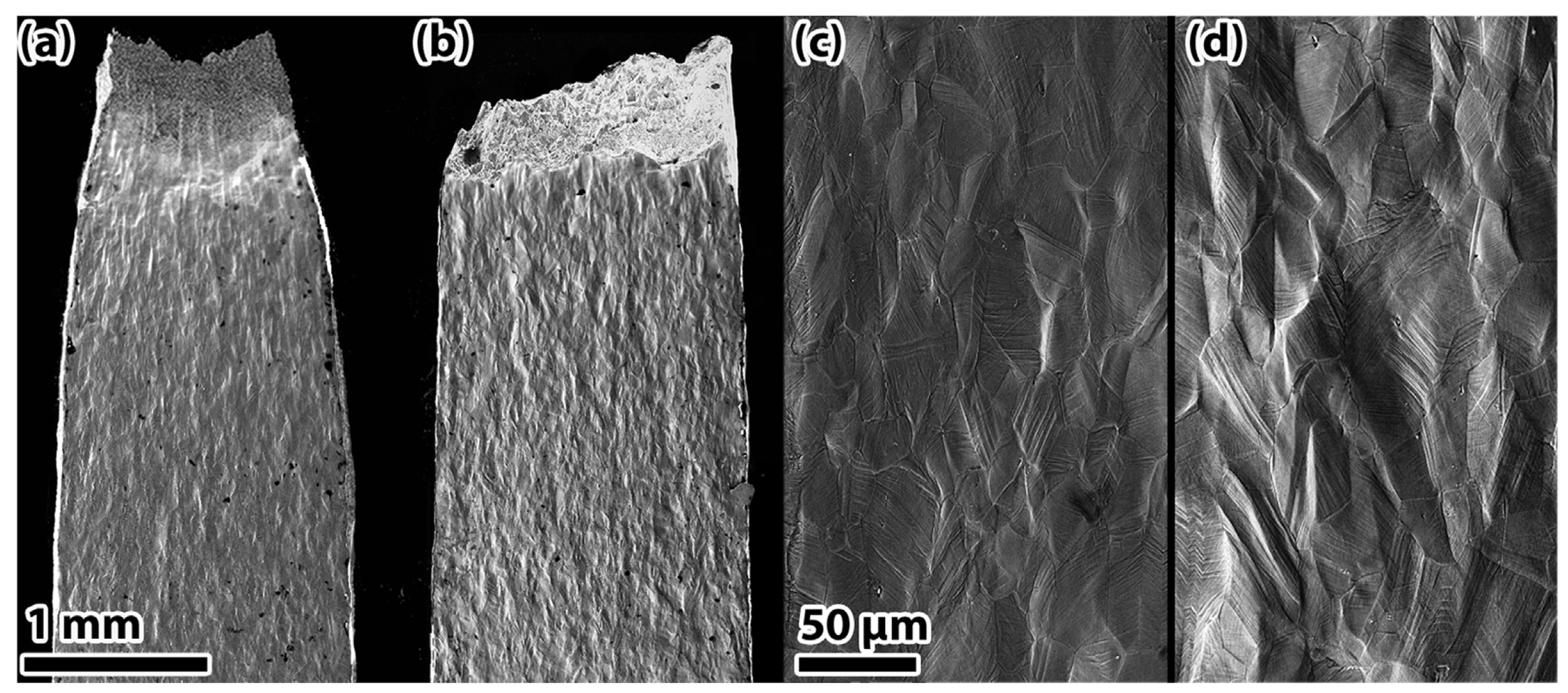 Materials 18 02862 g010